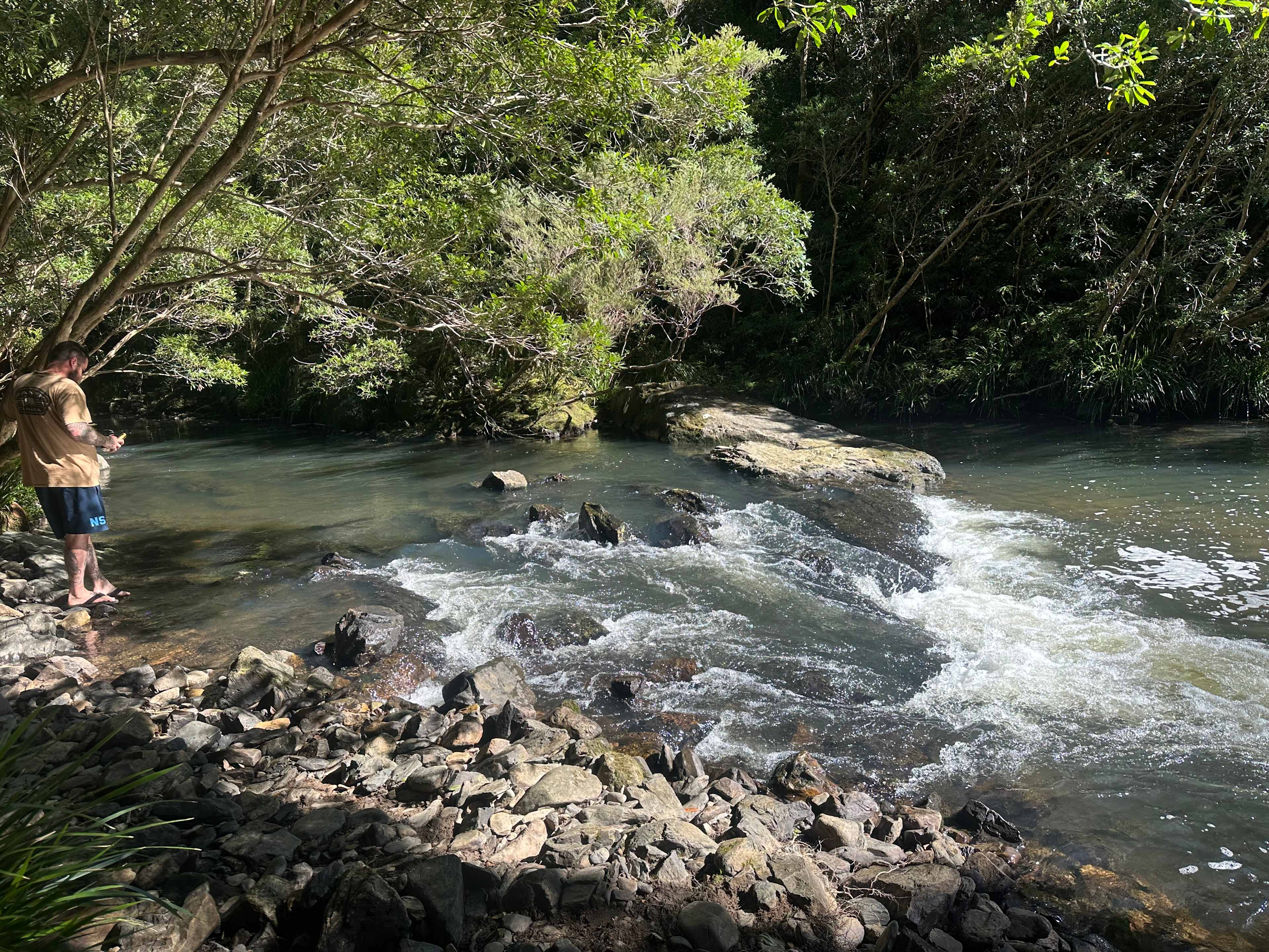 Frog Hollow Rainforest Camping