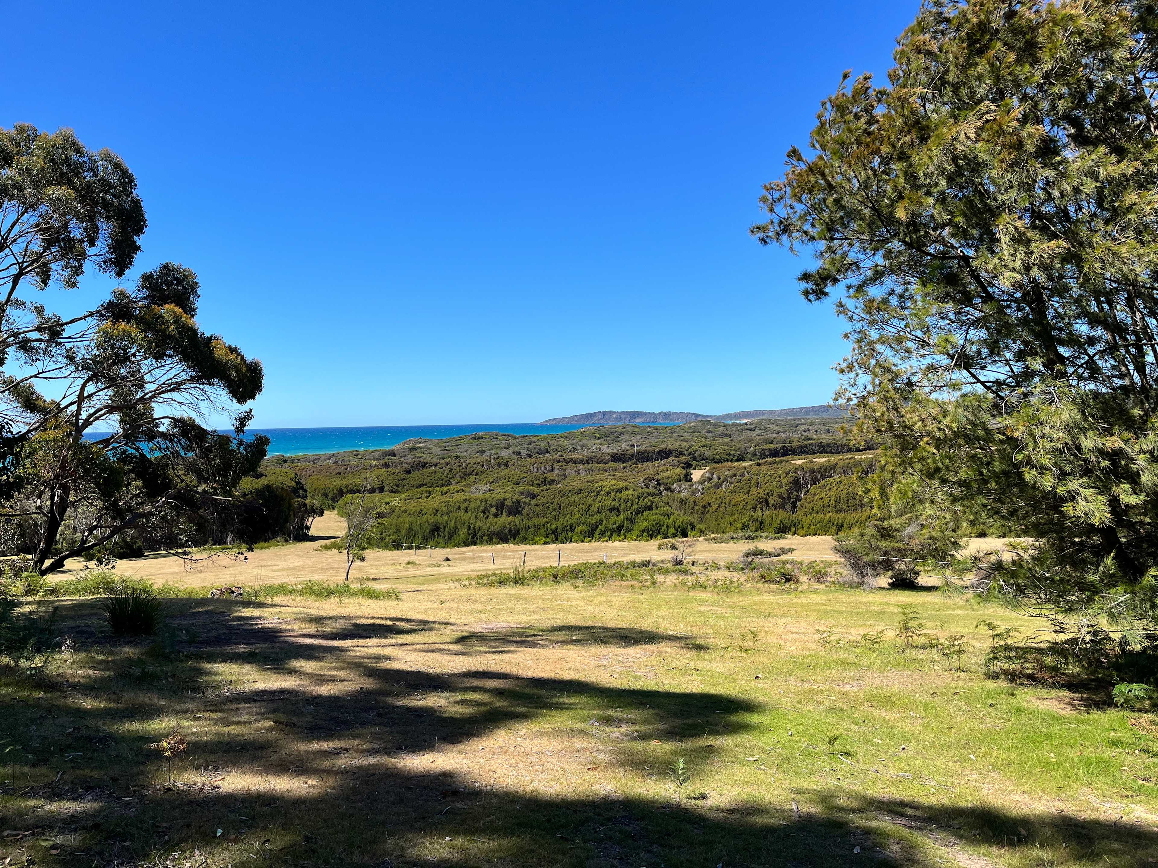The Y at Badger Head