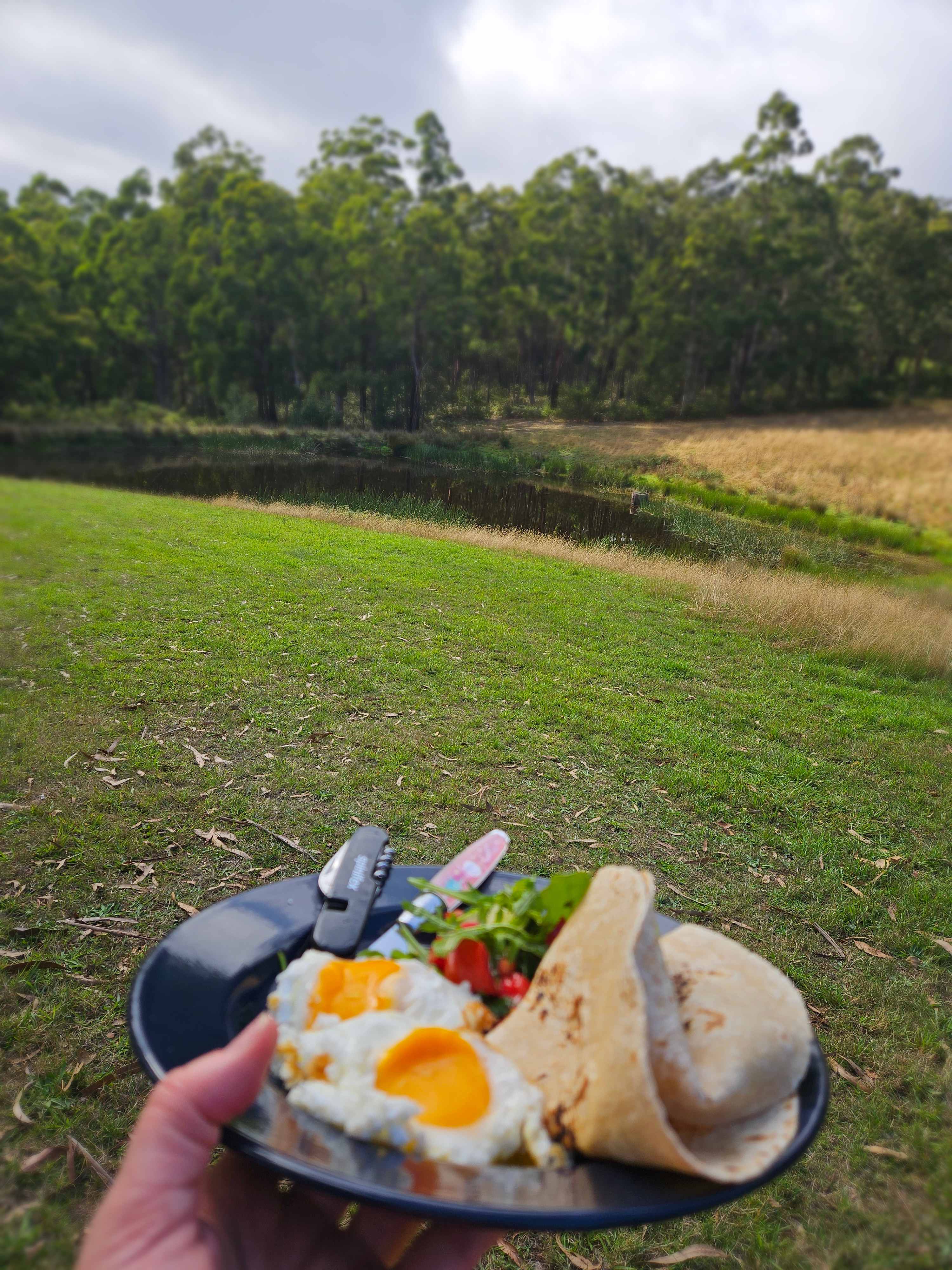 Fresh eggs from Euan's hens available to buy