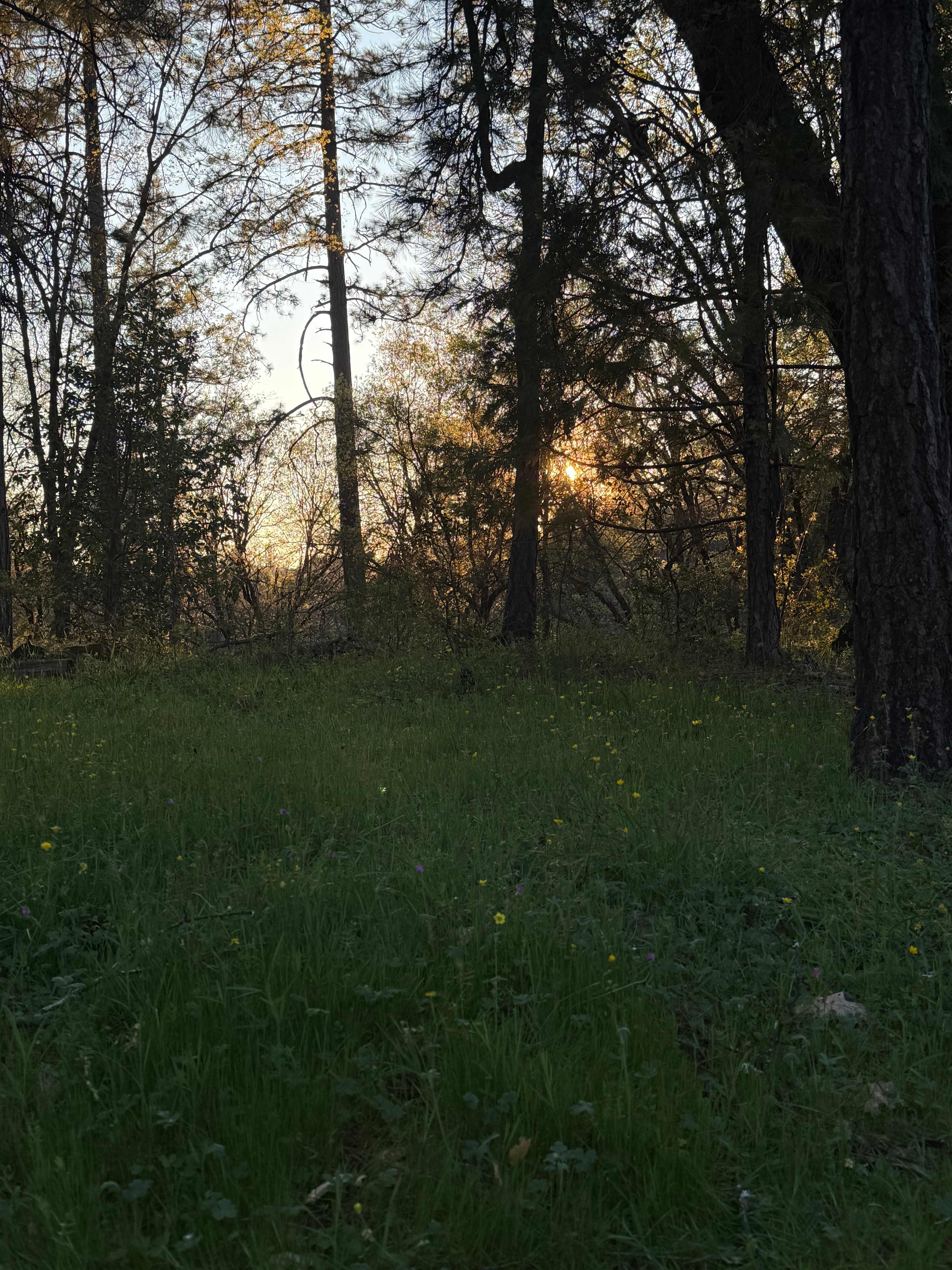 Sierra Waters Homestead