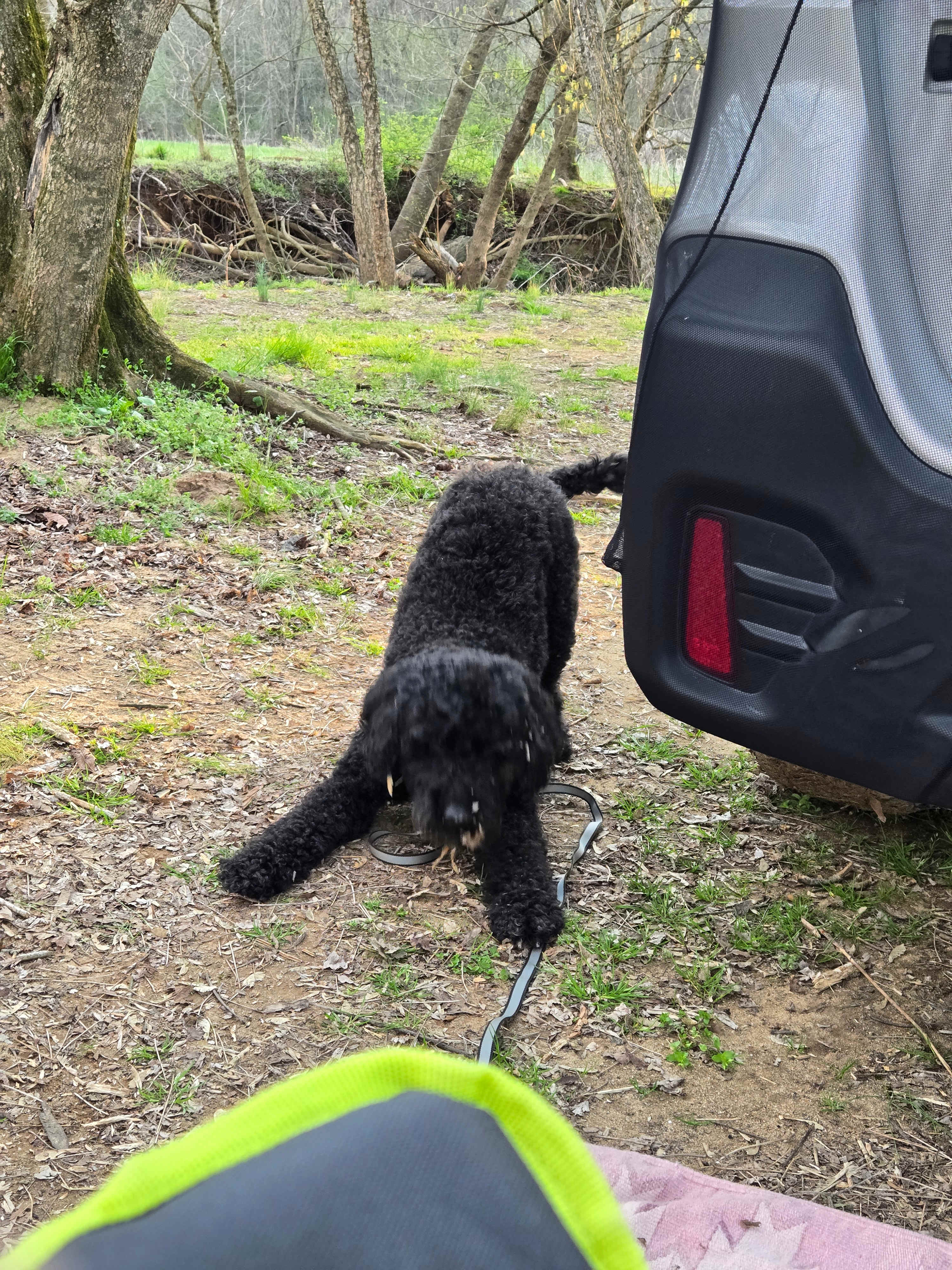 The Oasis at Harmon Creek Farms