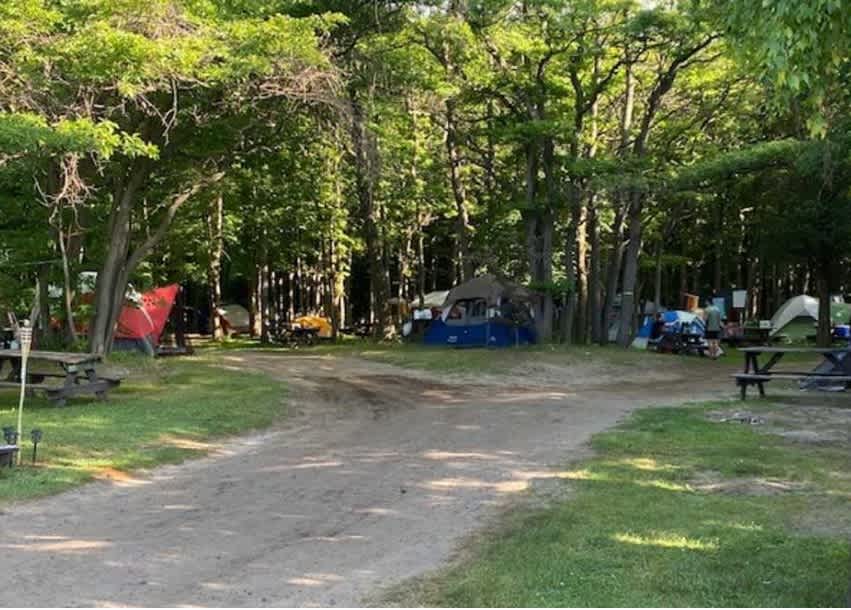 Picture of the site