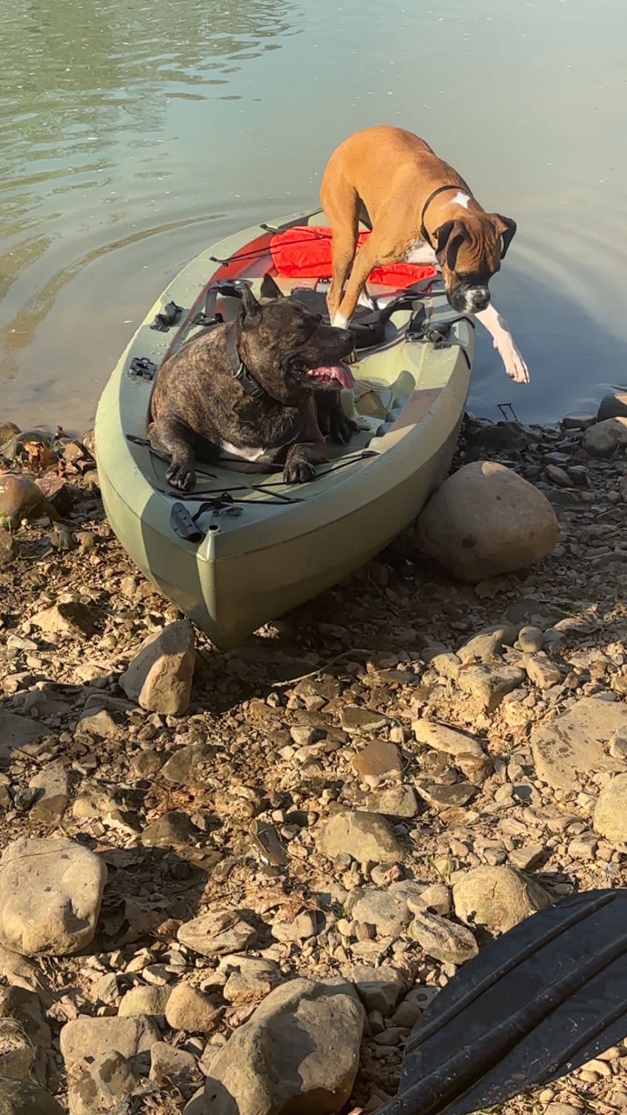 Yearling Ridge Riverfront Camp