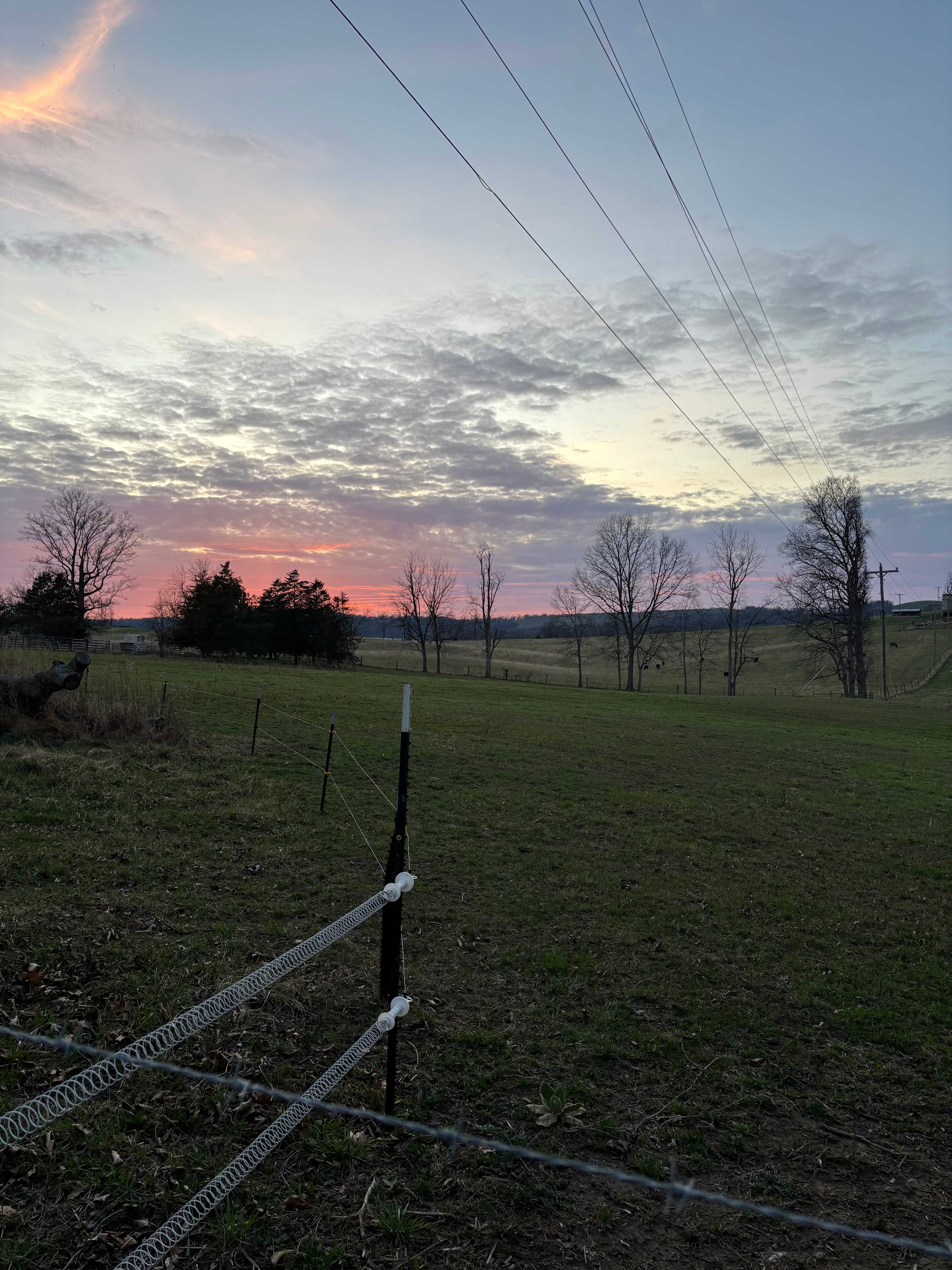 B and M Journey Farm