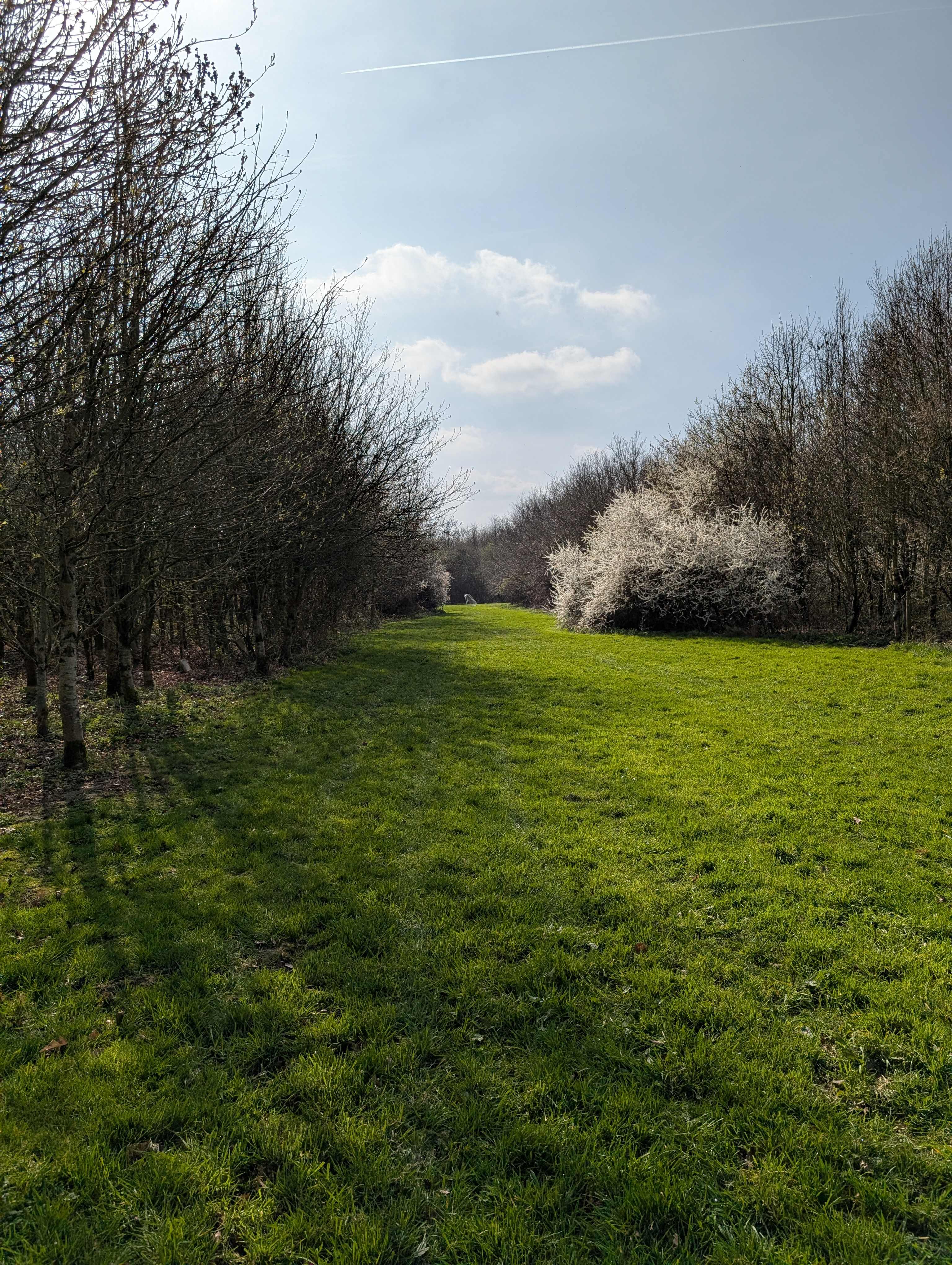 Fire and Stars Woodland Camping