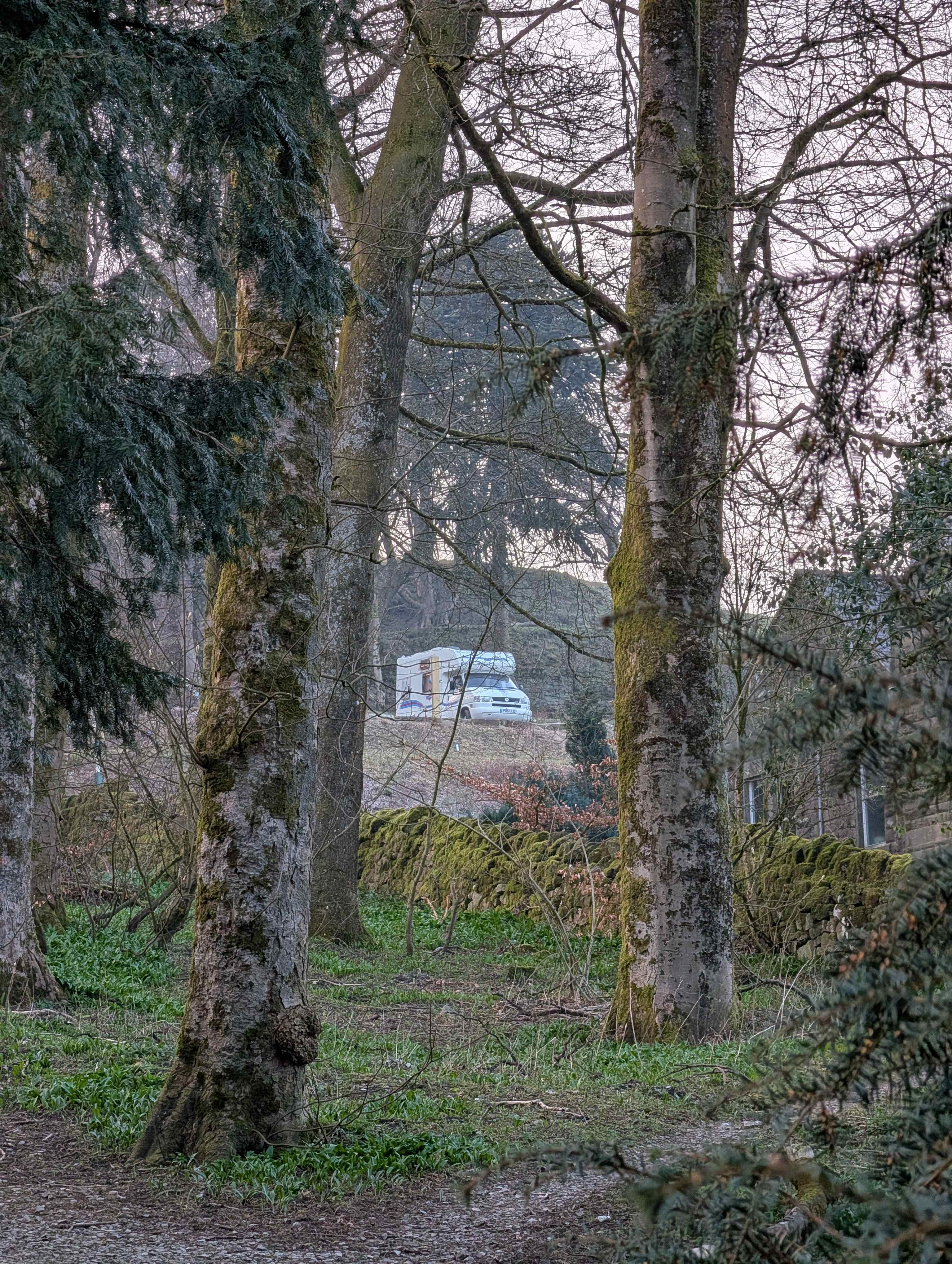 The Duchess's Meadow