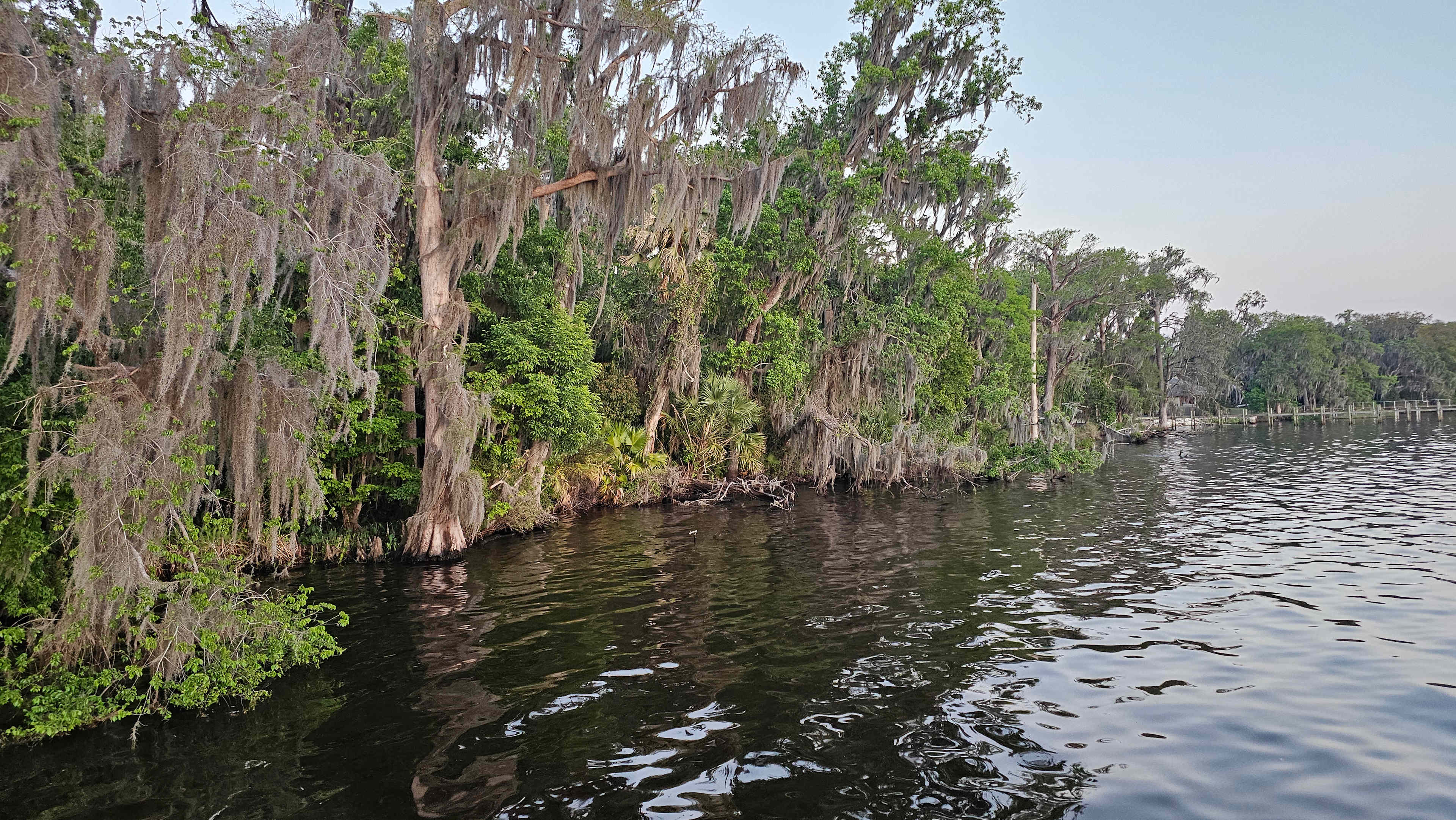 From the dock looking back near boathouse 