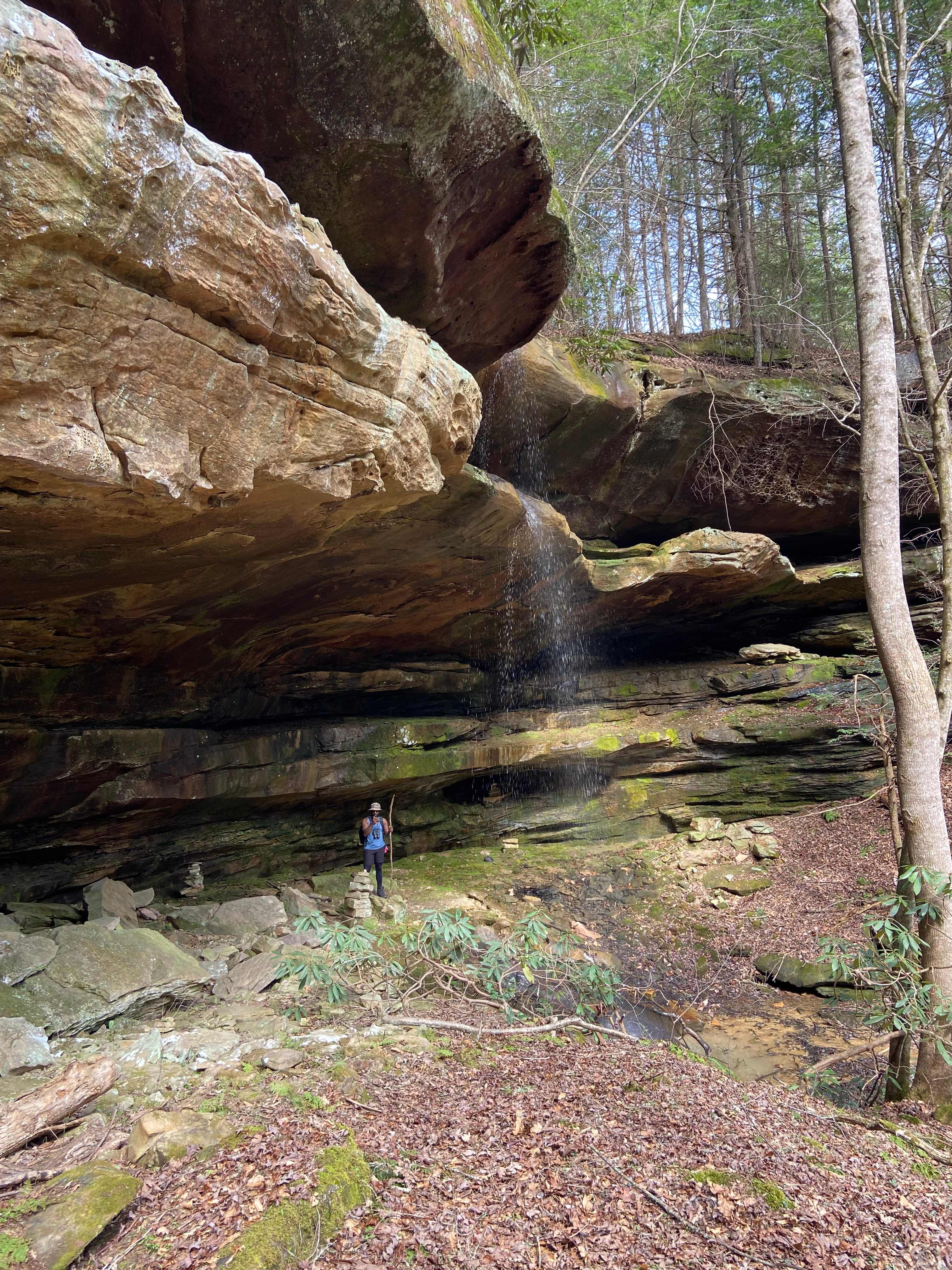 The Harrican Lakehouse