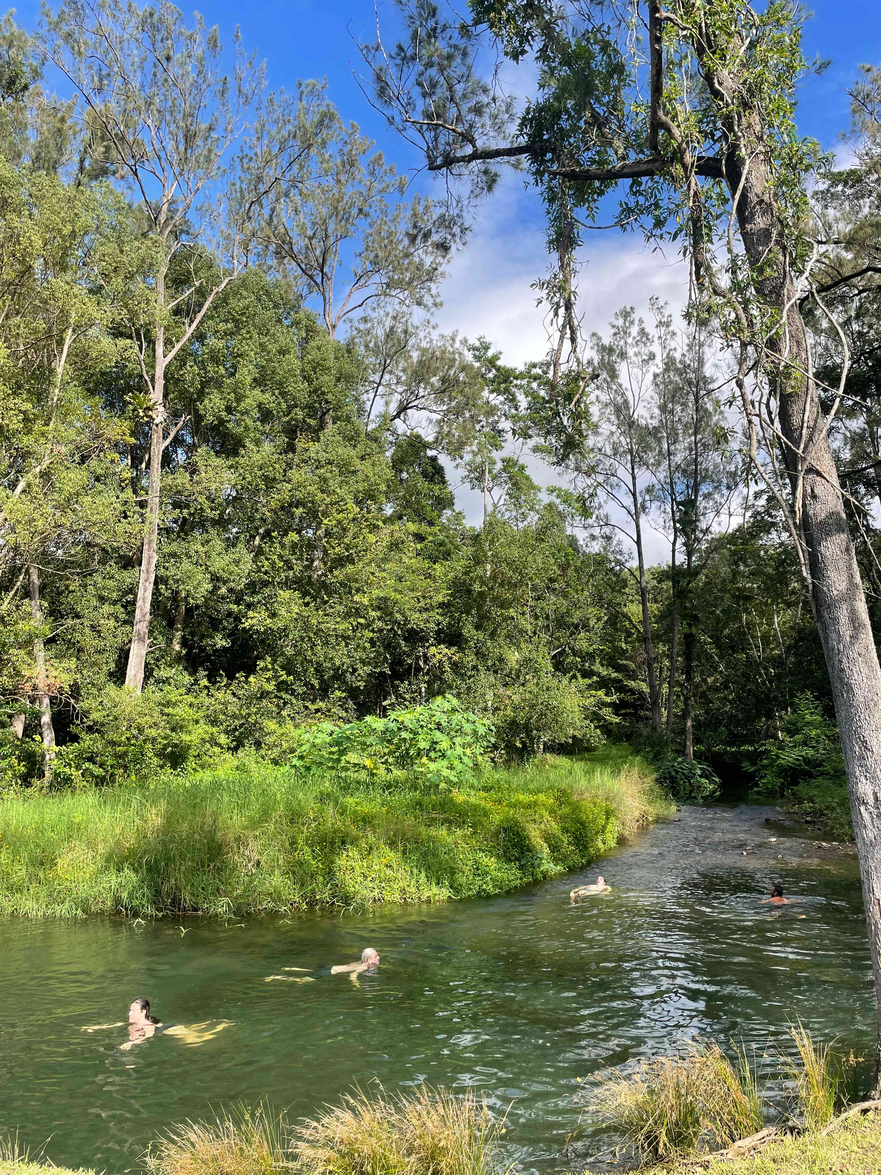 Crystal Creek Springs