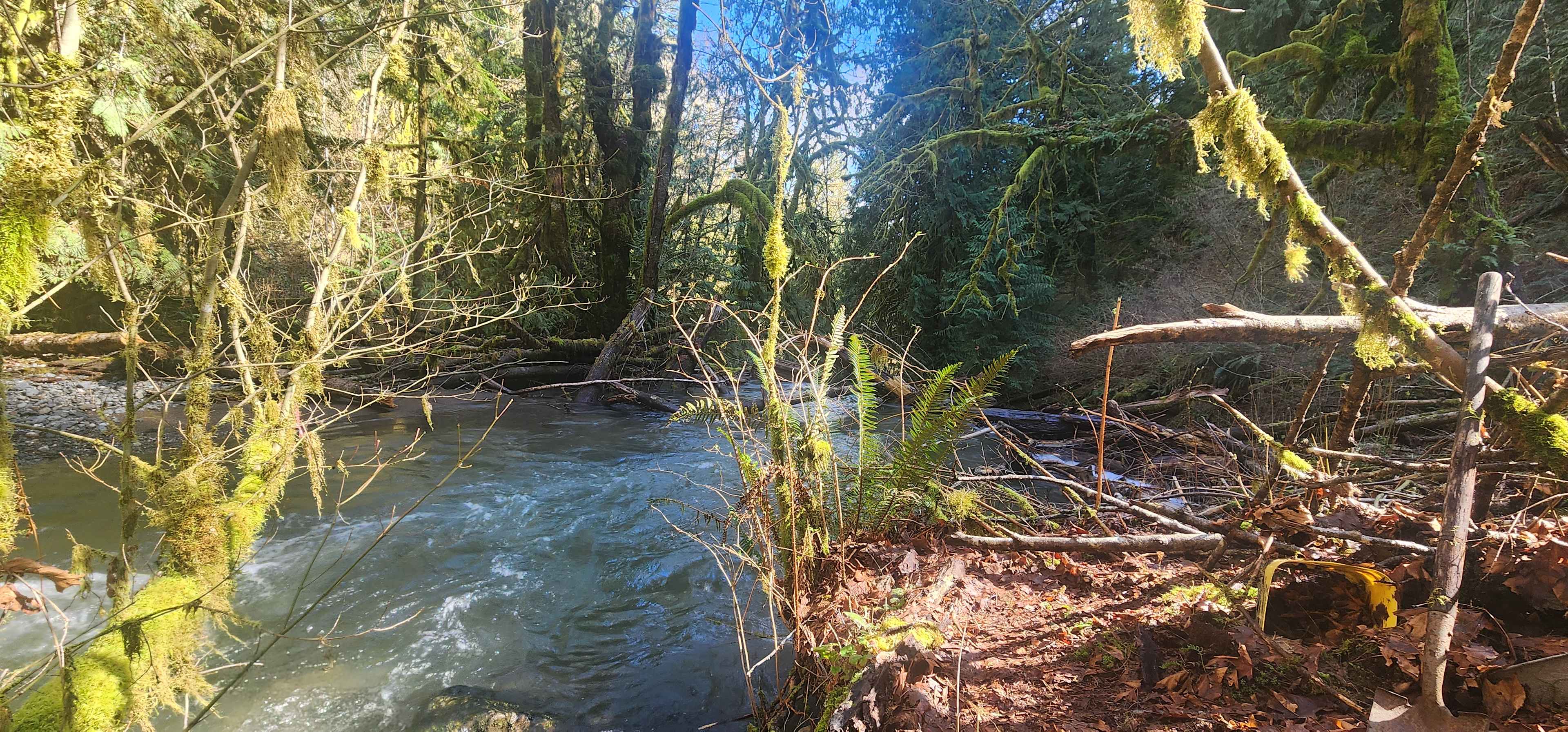 Clear Light Valley Retreat