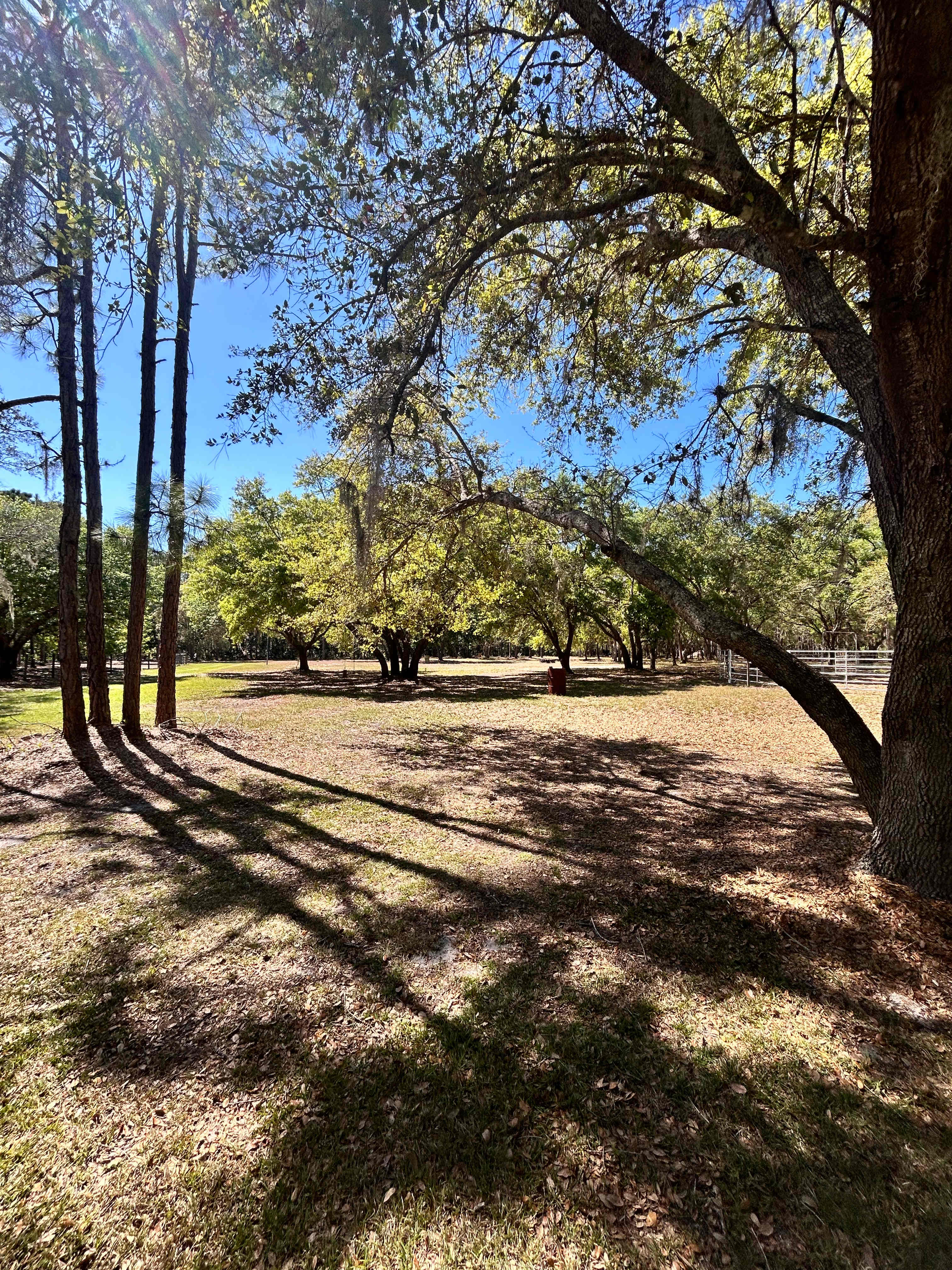 R & V Ranch