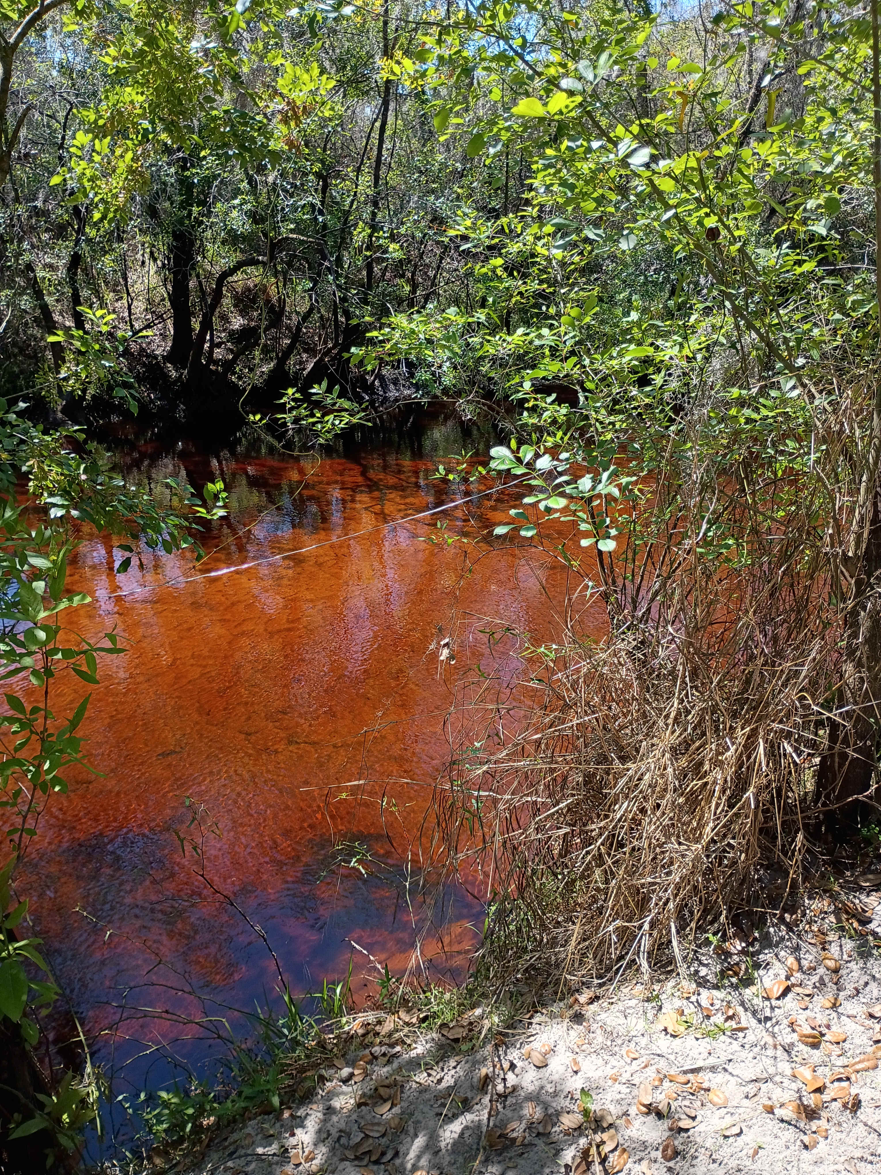Sandy Bottom River Retreat