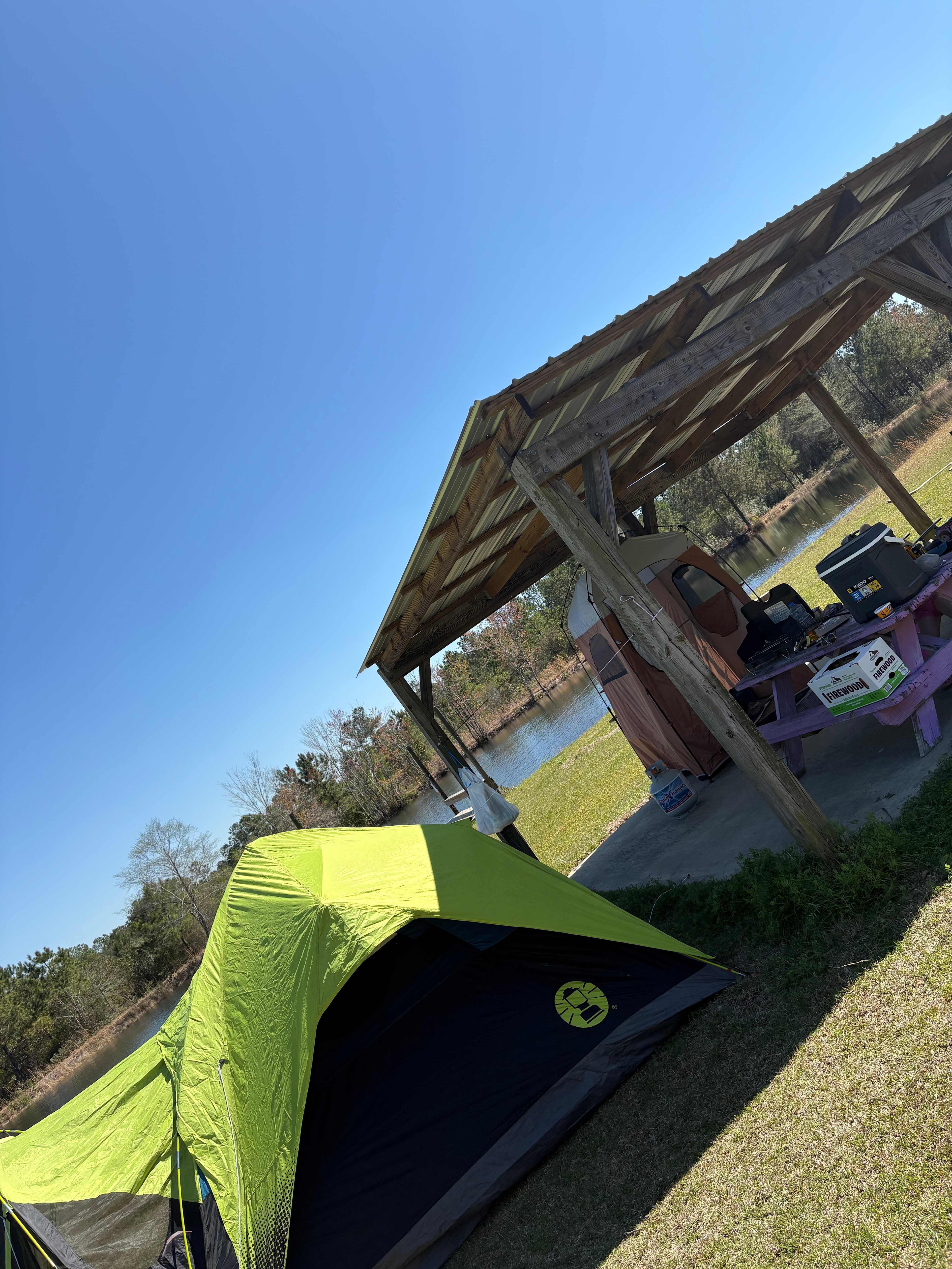The Pine Tree Retreat