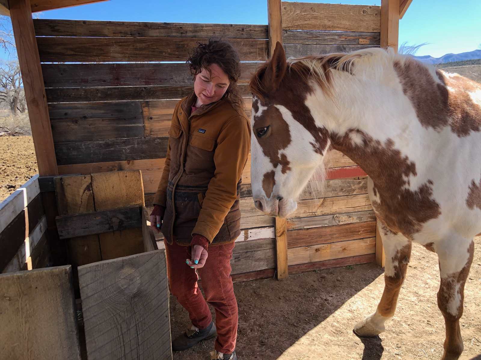 a beautiful healing moment with Mystic