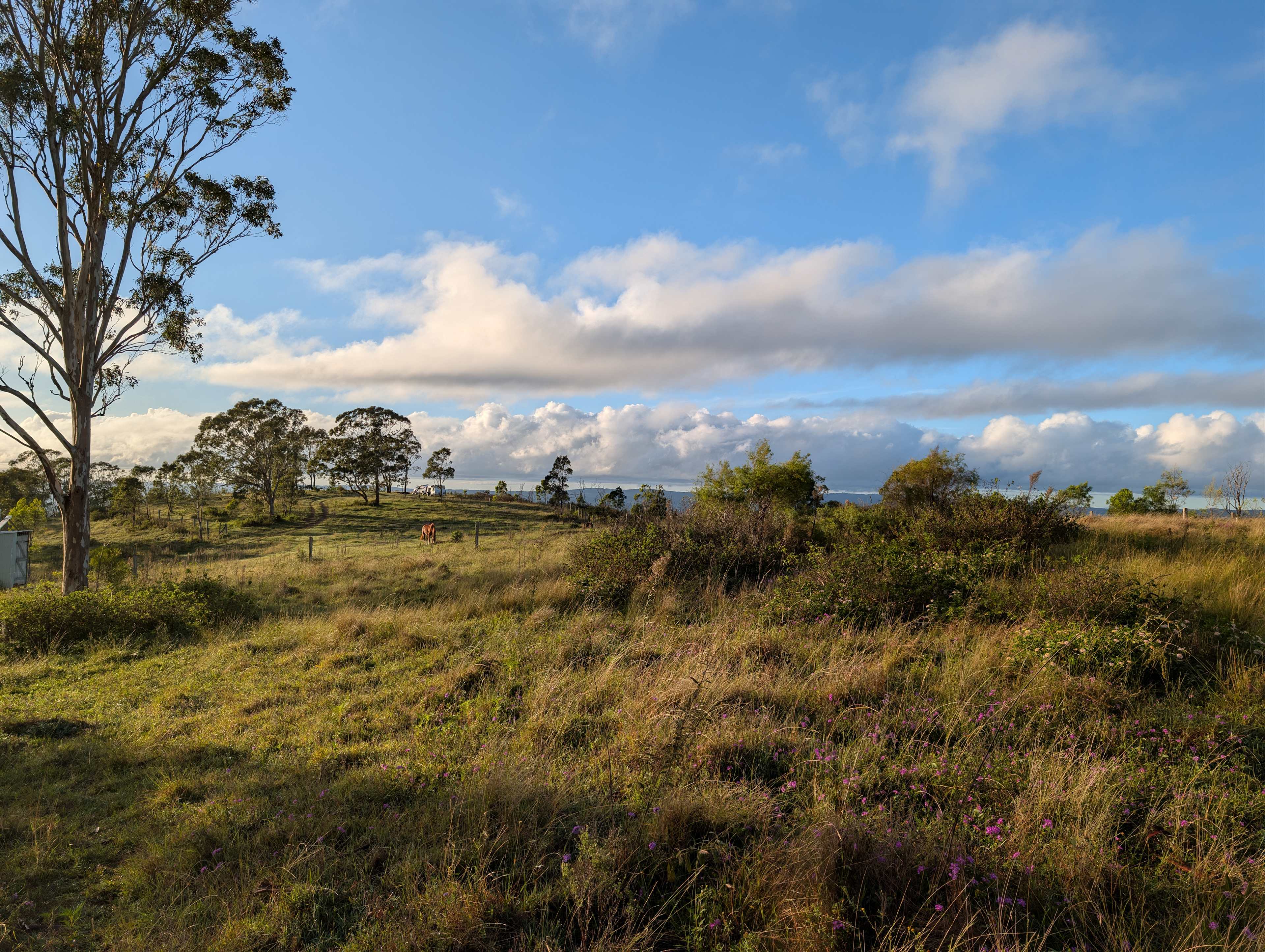 Beautiful views all around