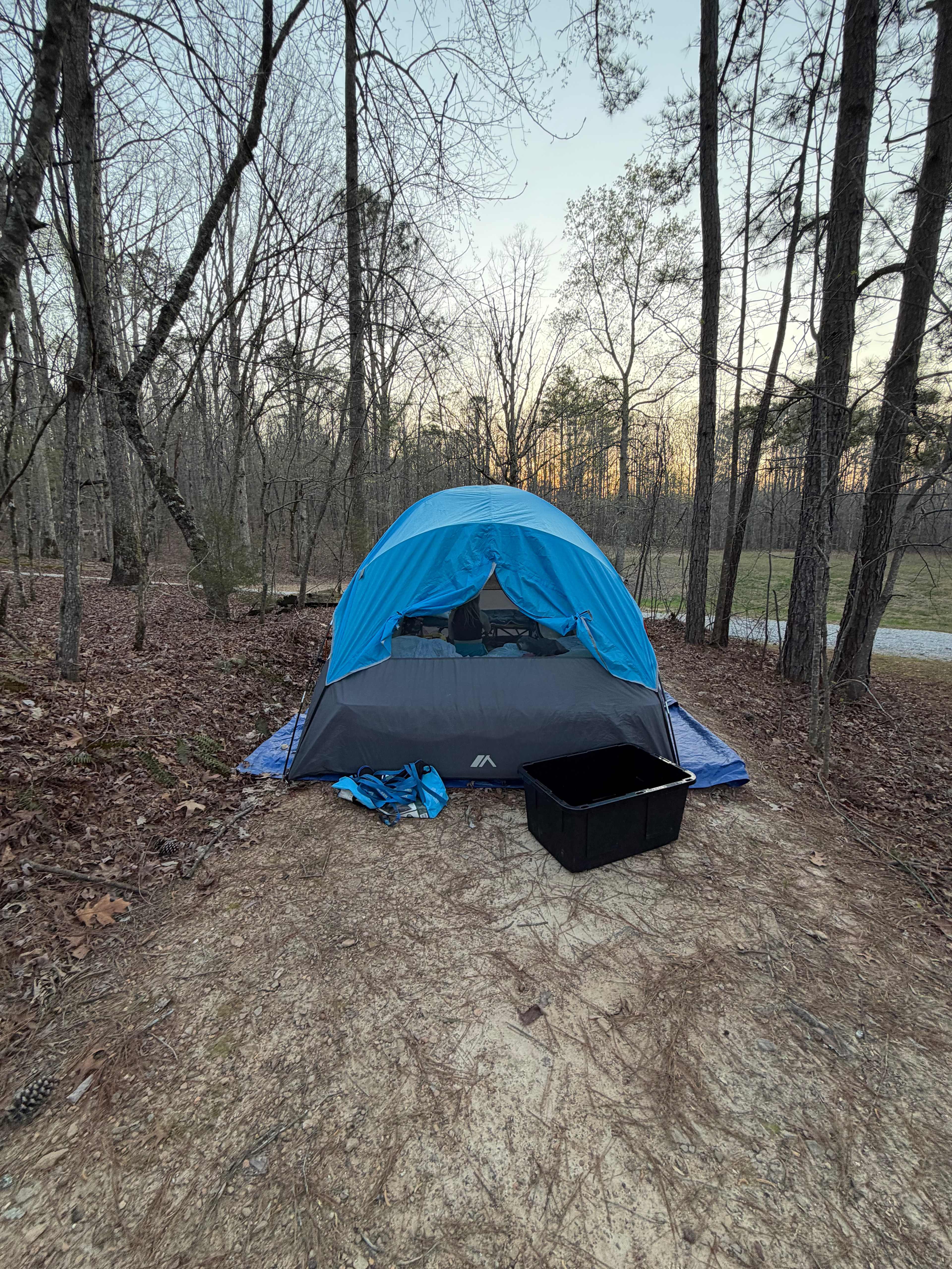 Picture of the site