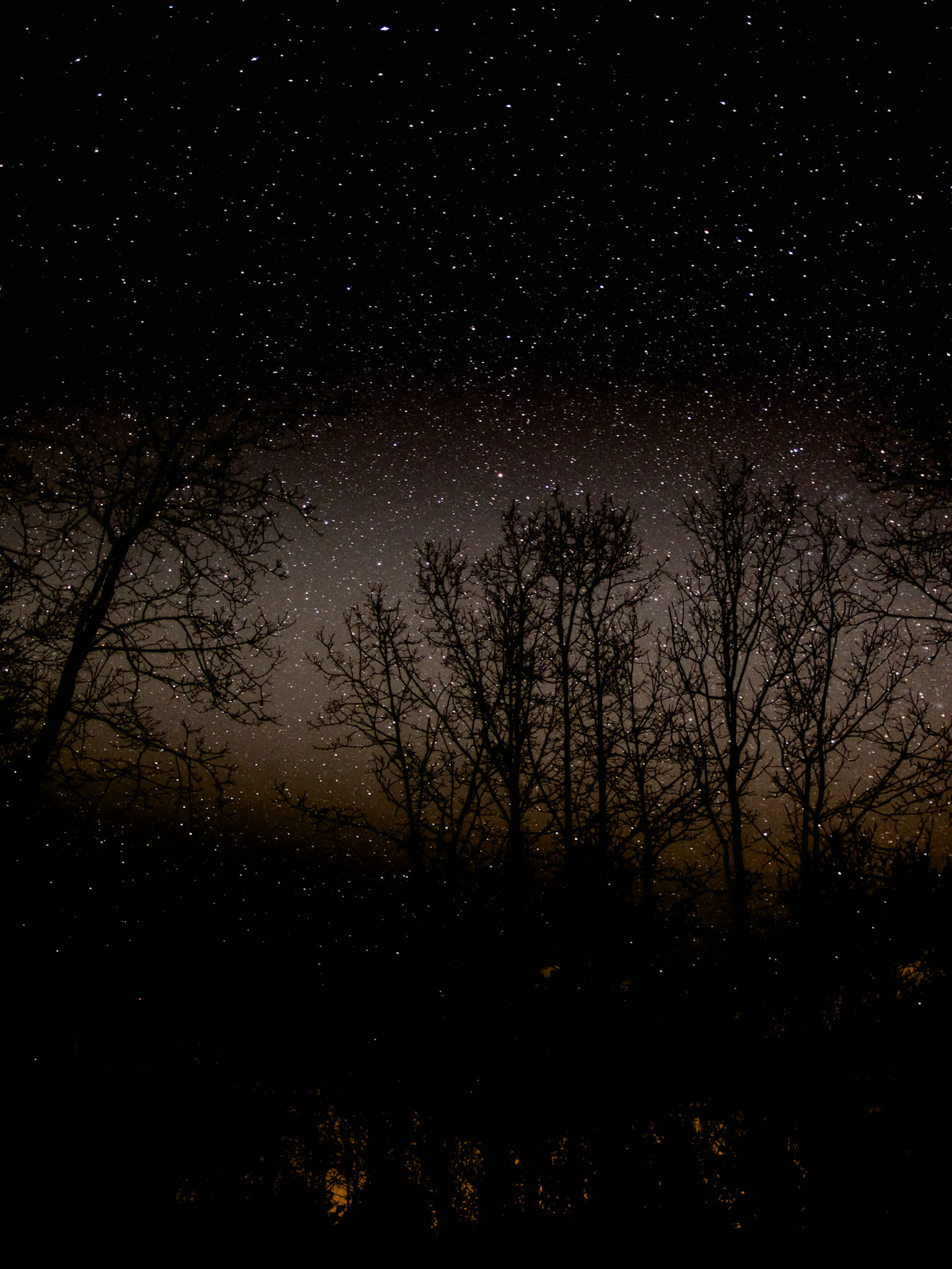 Starlight Hills