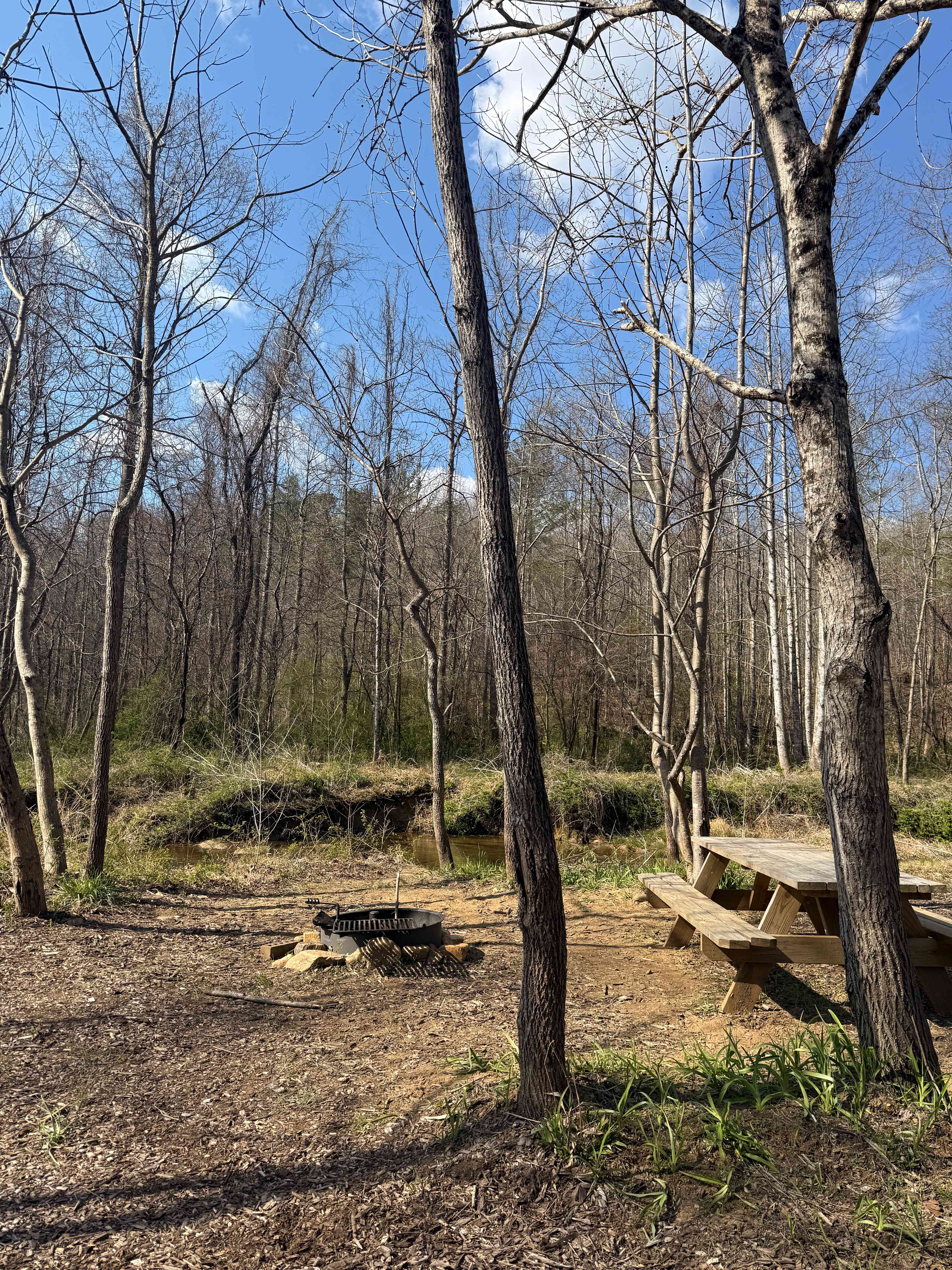 TangleWood Creekside Campsites