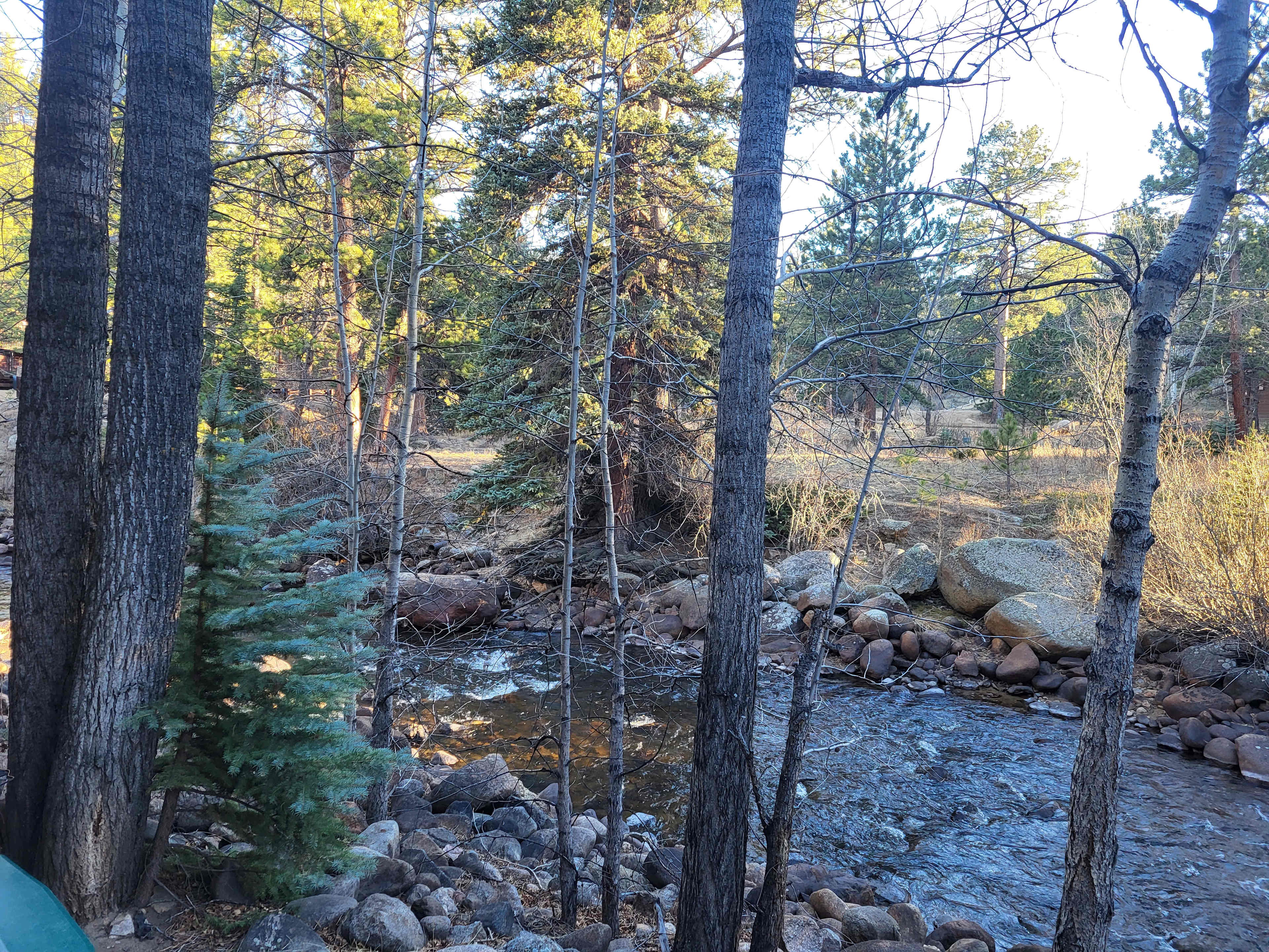 Swiftcurrent Lodge on the River