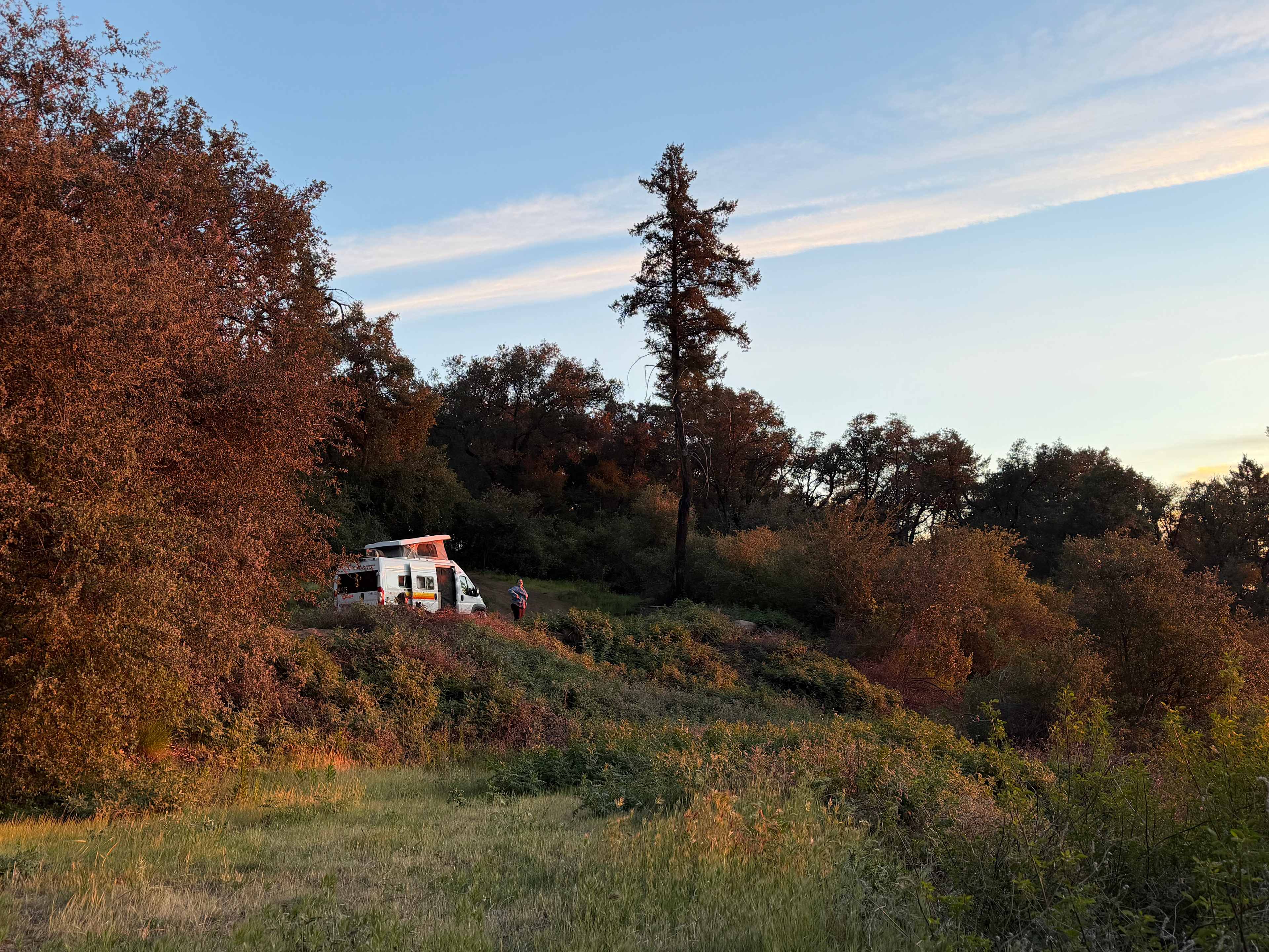 Magical Harrison Serenity Ranch