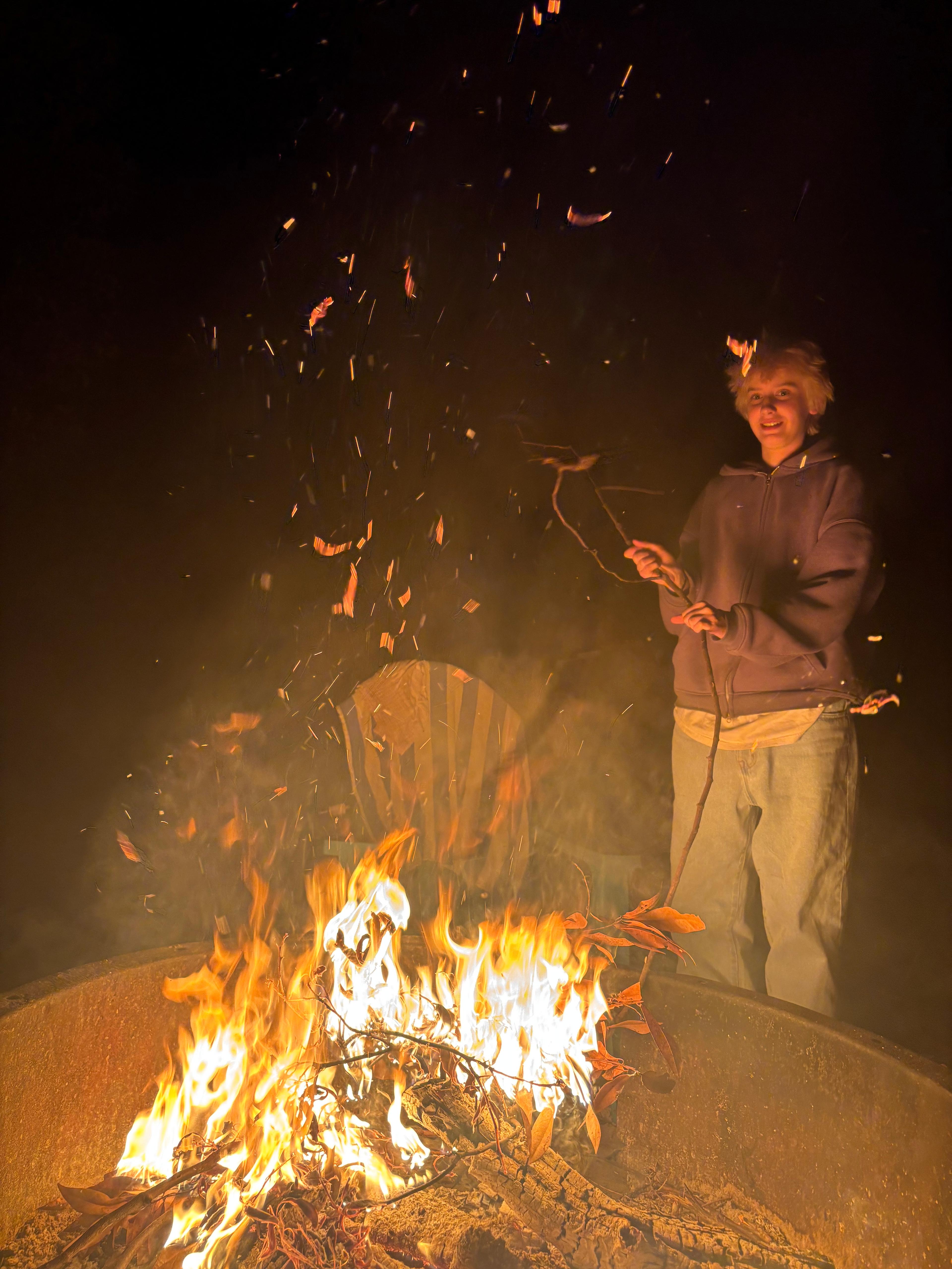 Secluded Wooded Campsite 🏕️