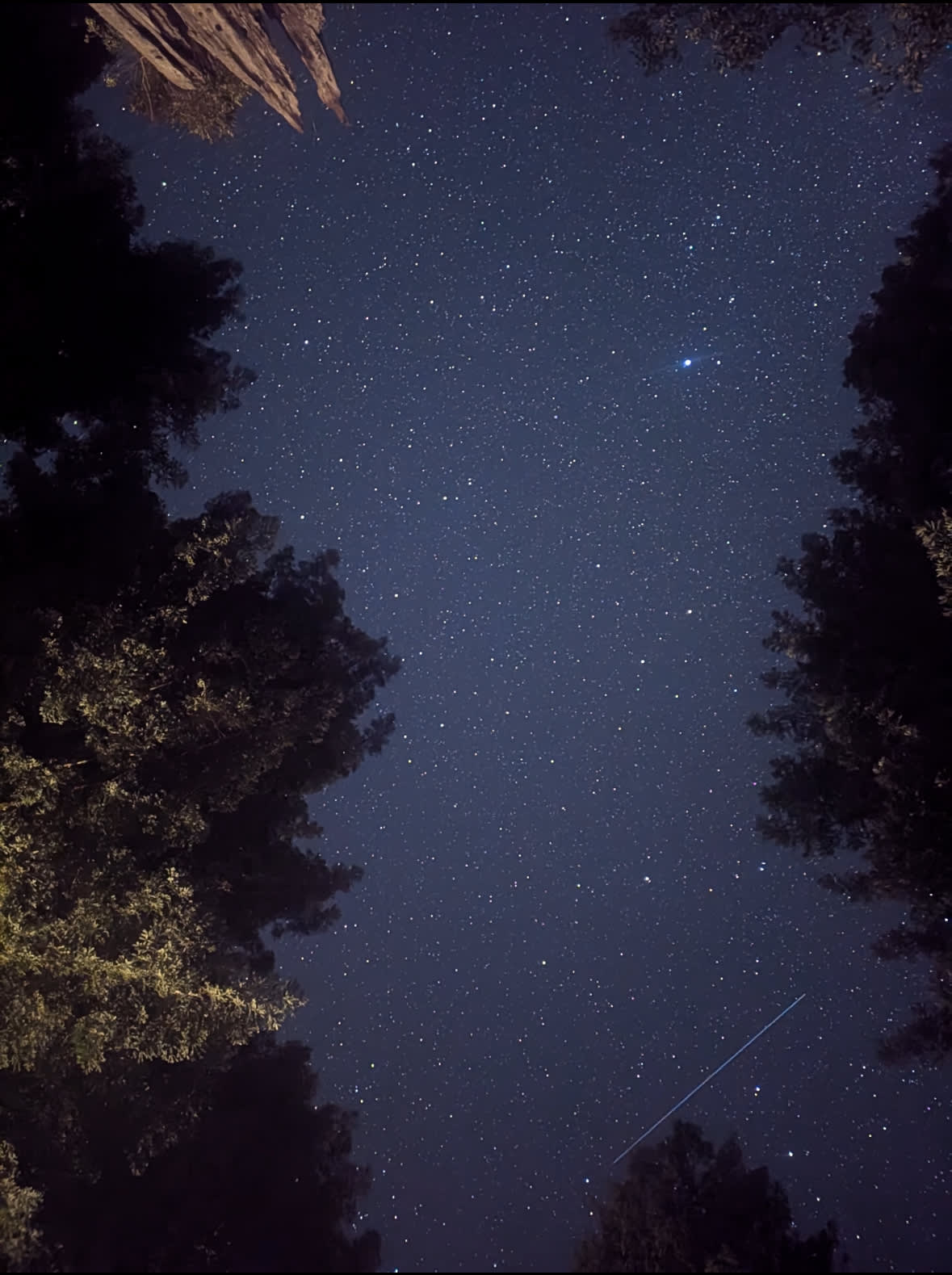 Bueno Mana Homestead