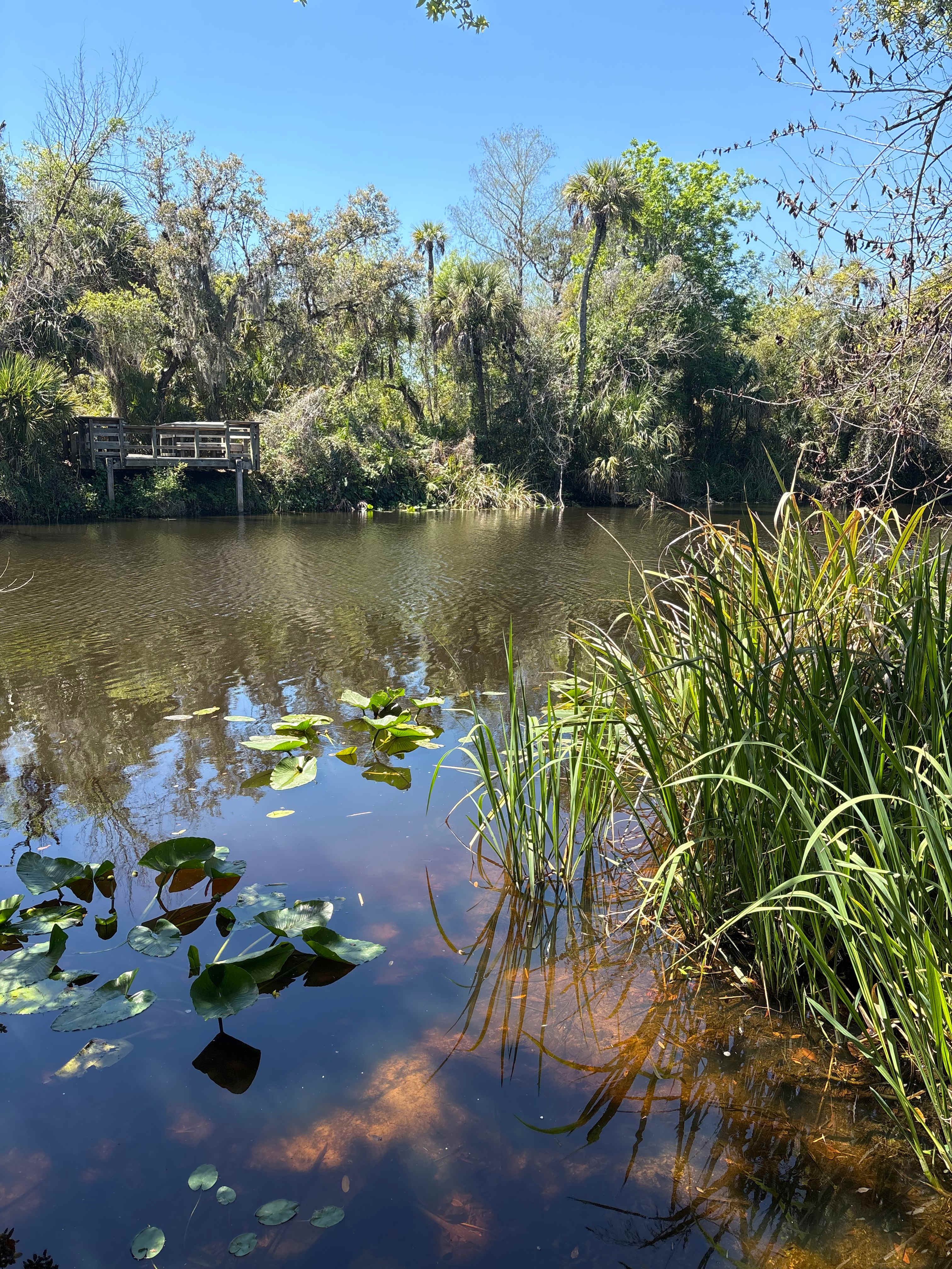 Our site backyard perfect for launching a kayak.