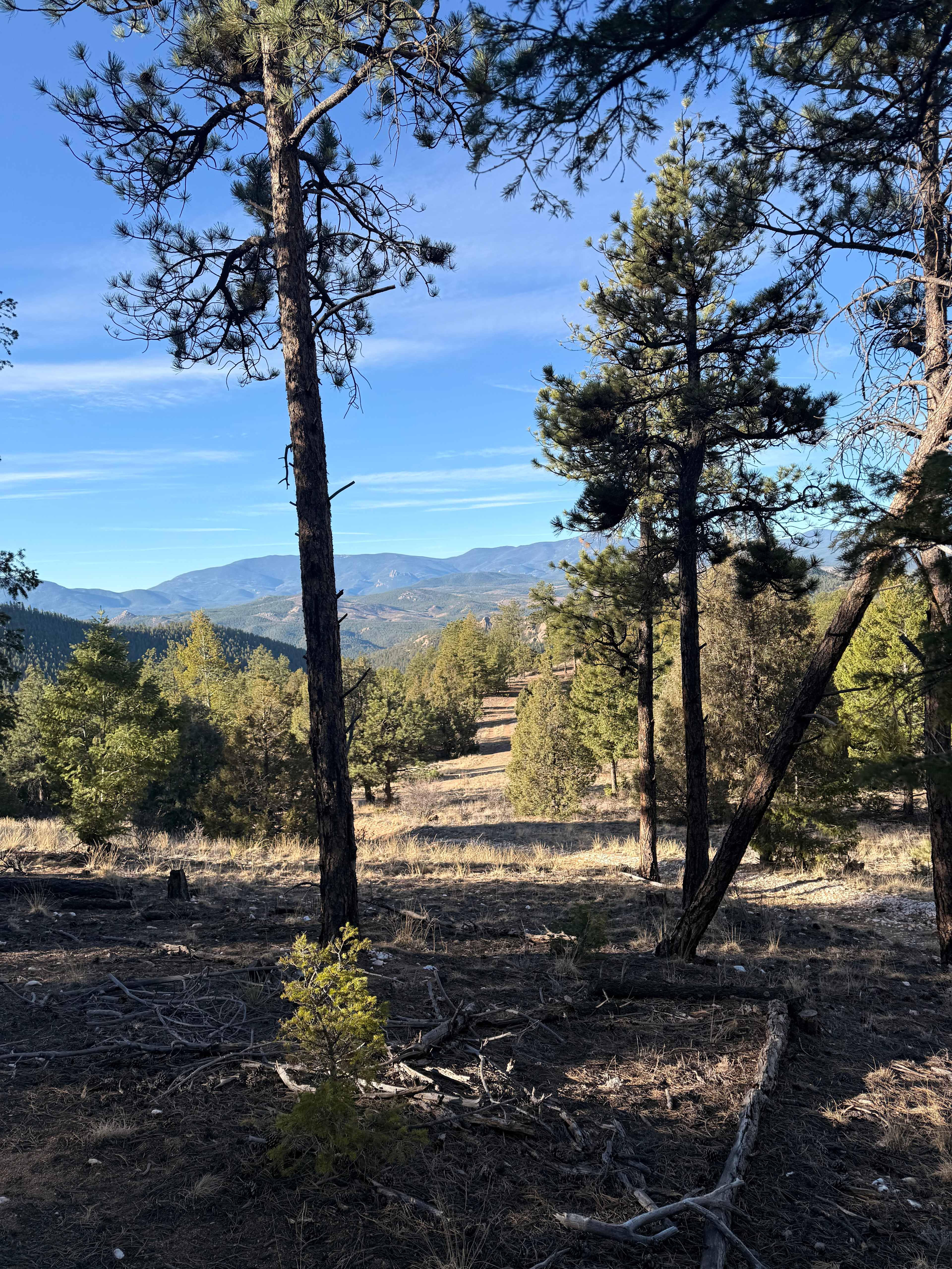 Serenity in the Foothills