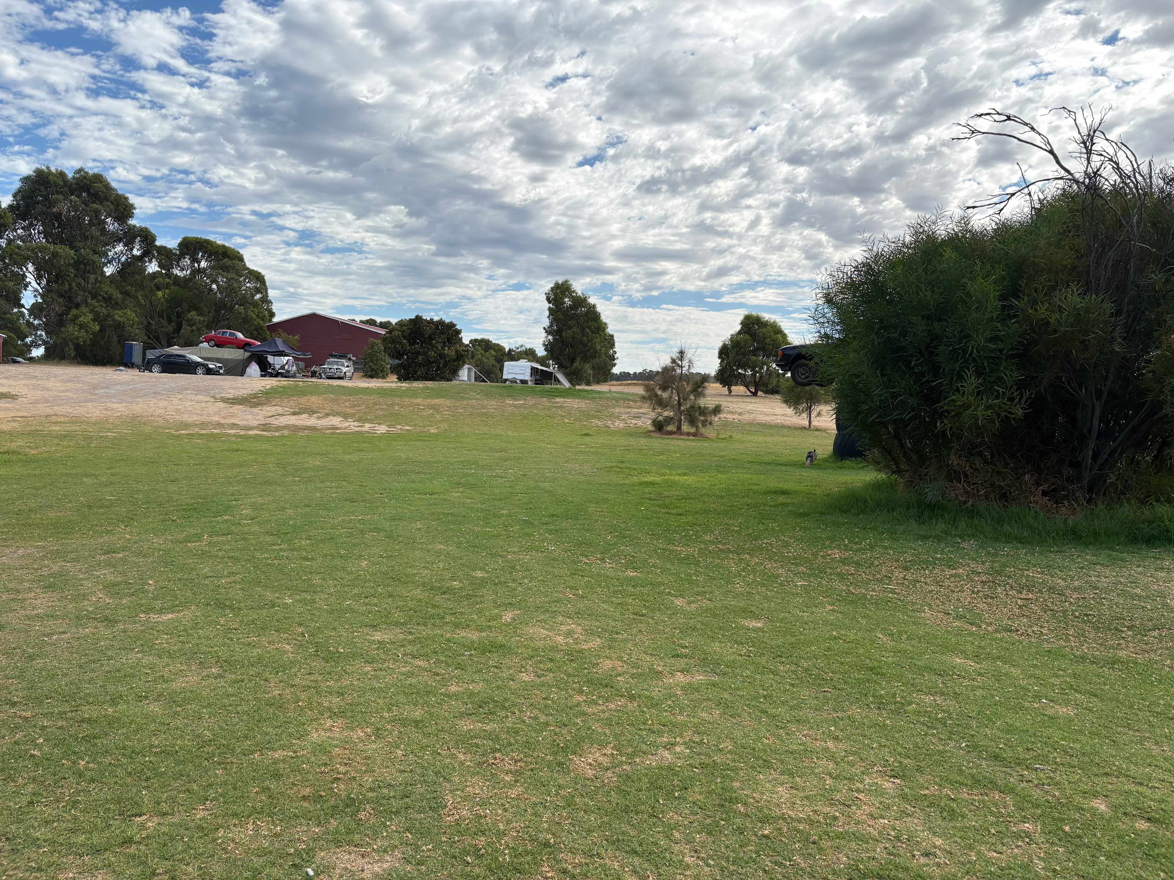 Lake Preston Lime Paddock