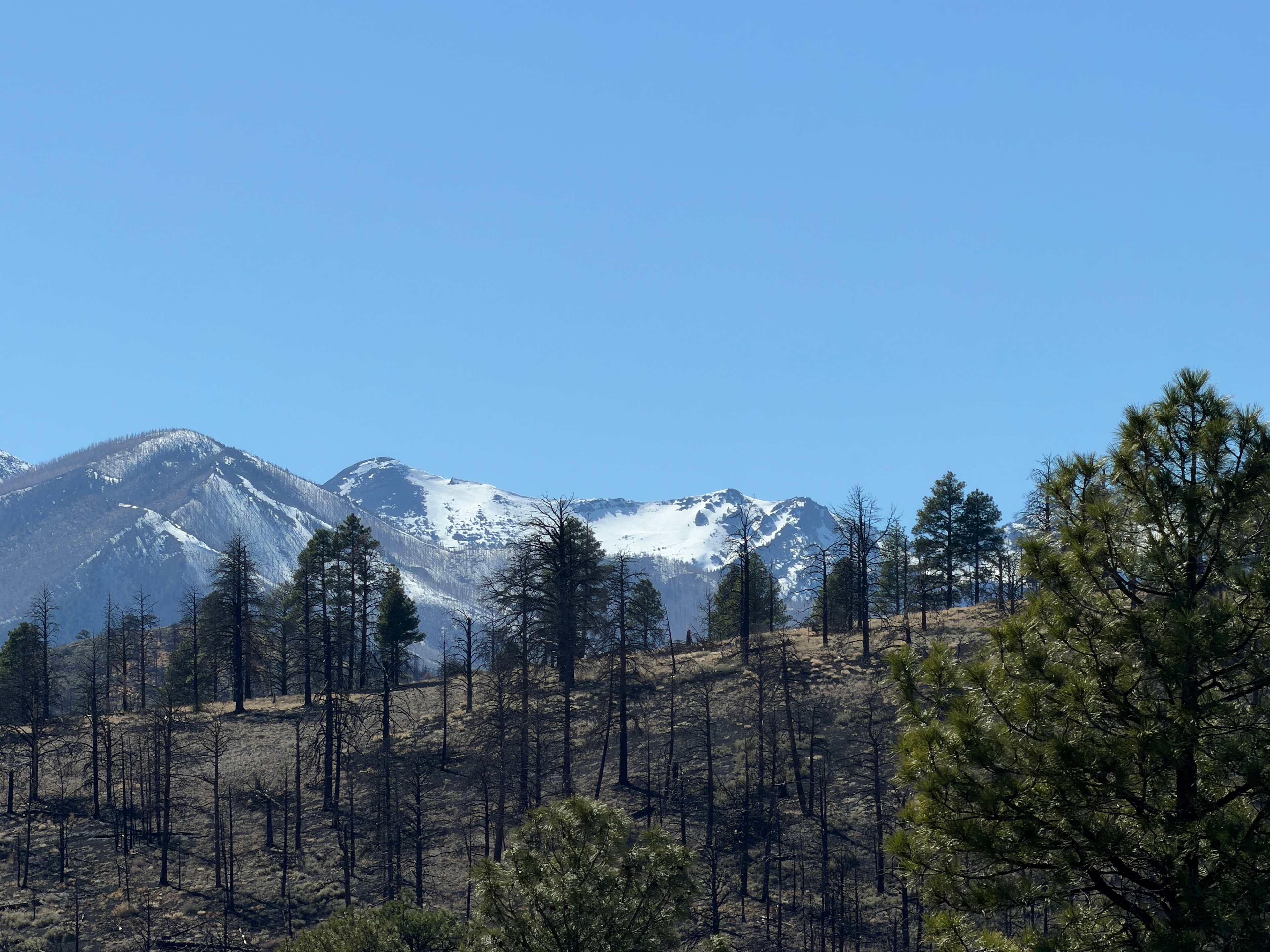 Grand Canyon Oasis High Desert Camp