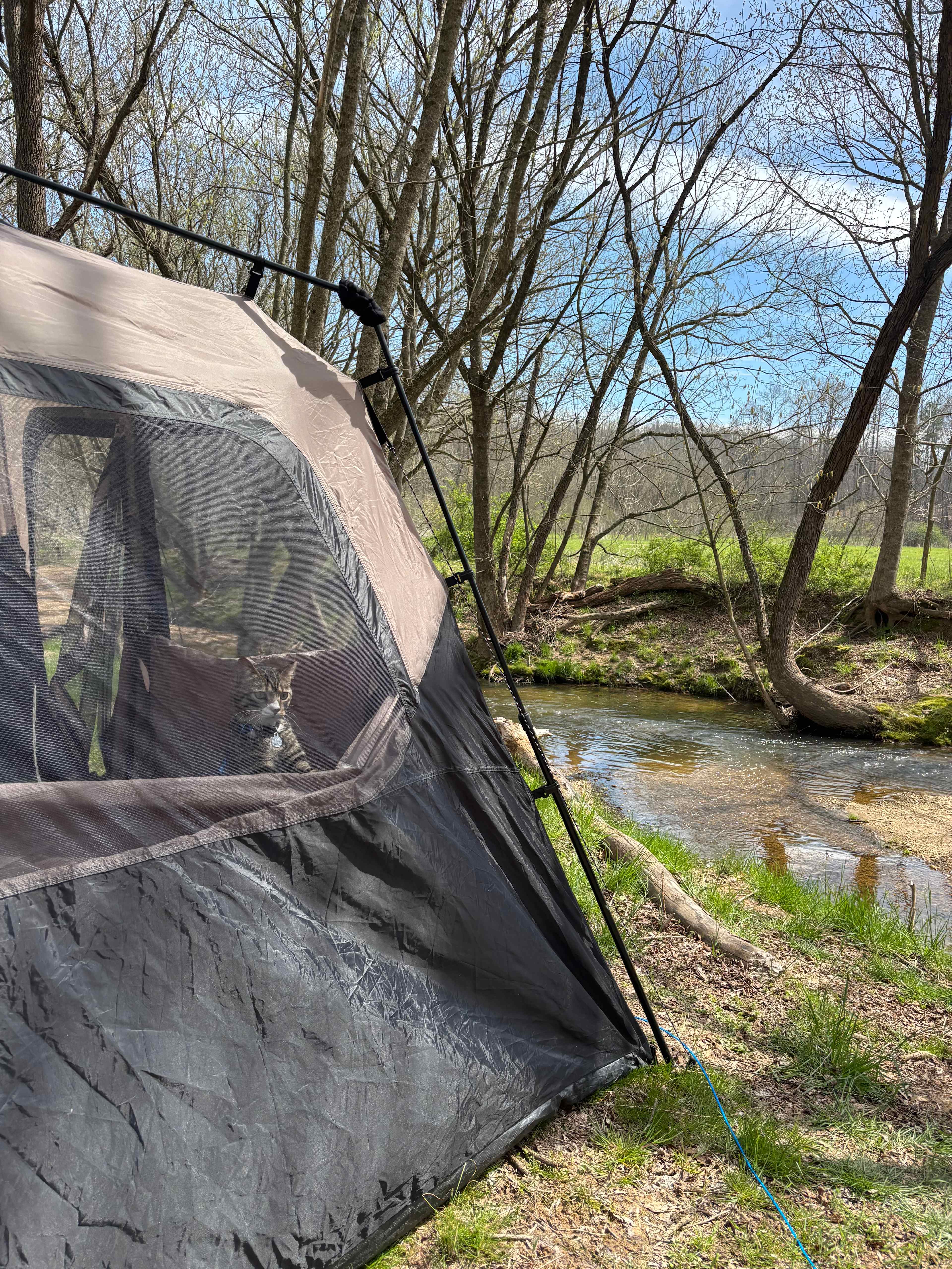 The Oasis at Harmon Creek Farms