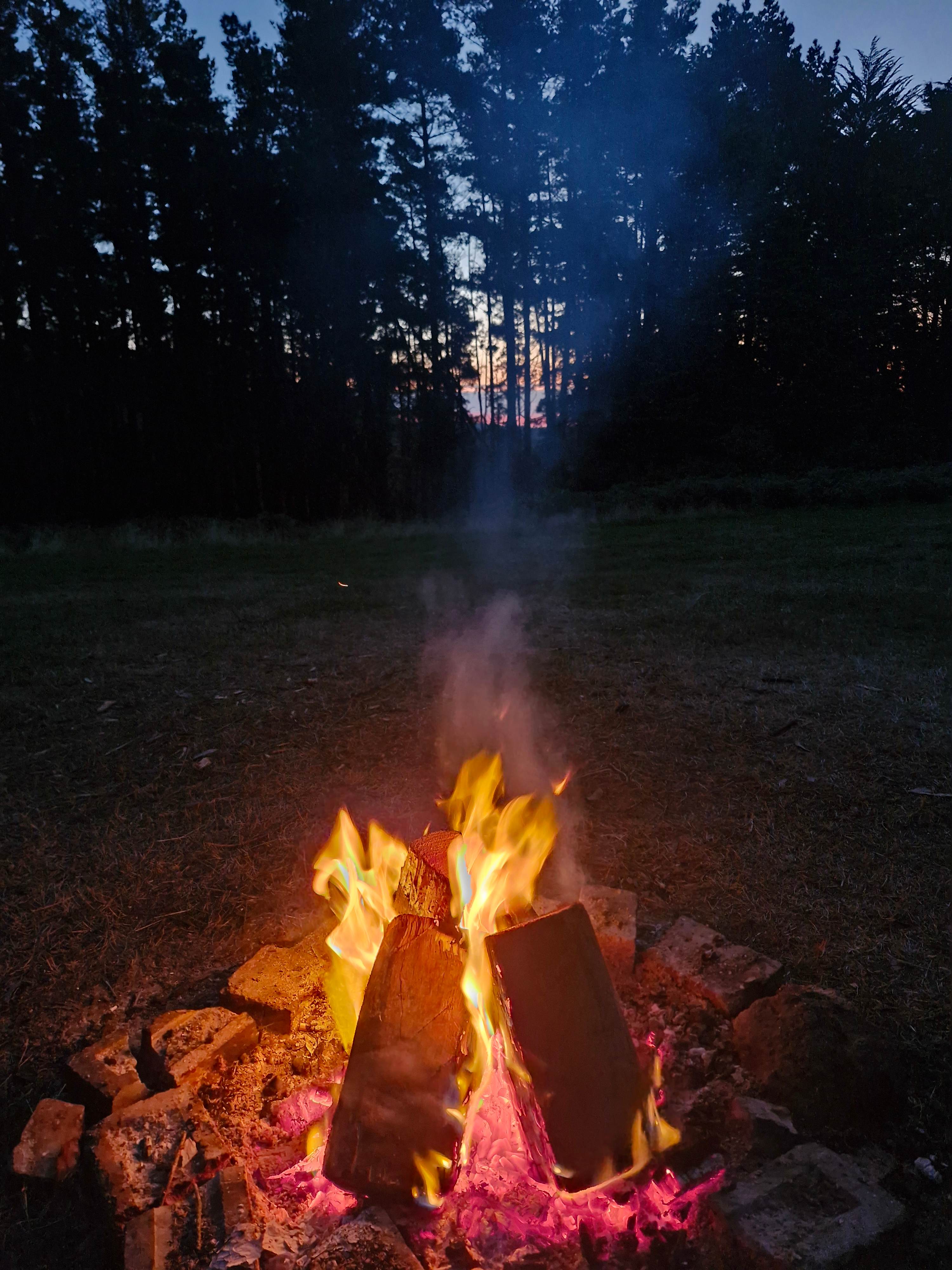 Waldheim - Our Home in the Forest