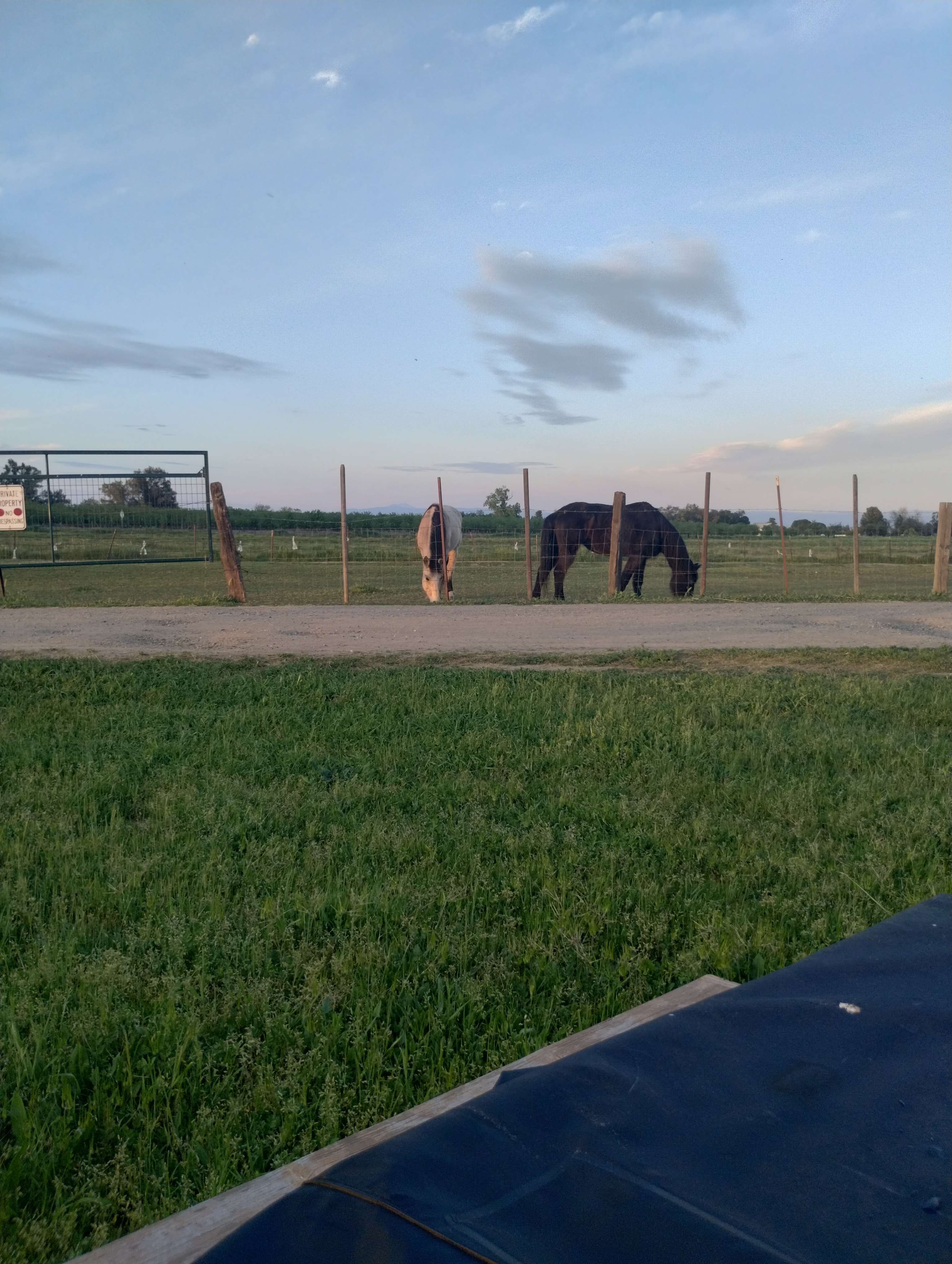 Just a bit of farm time