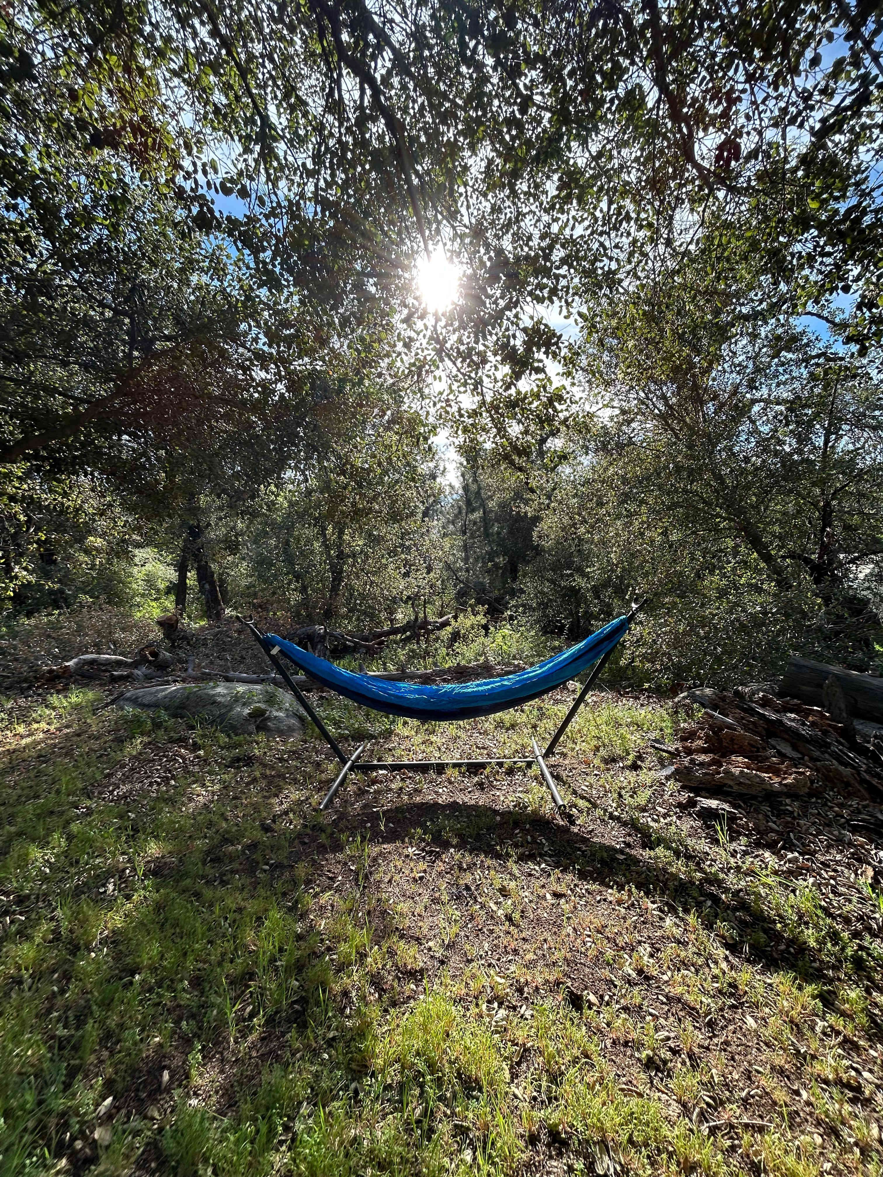 Manzanita Hill Woodland Camping