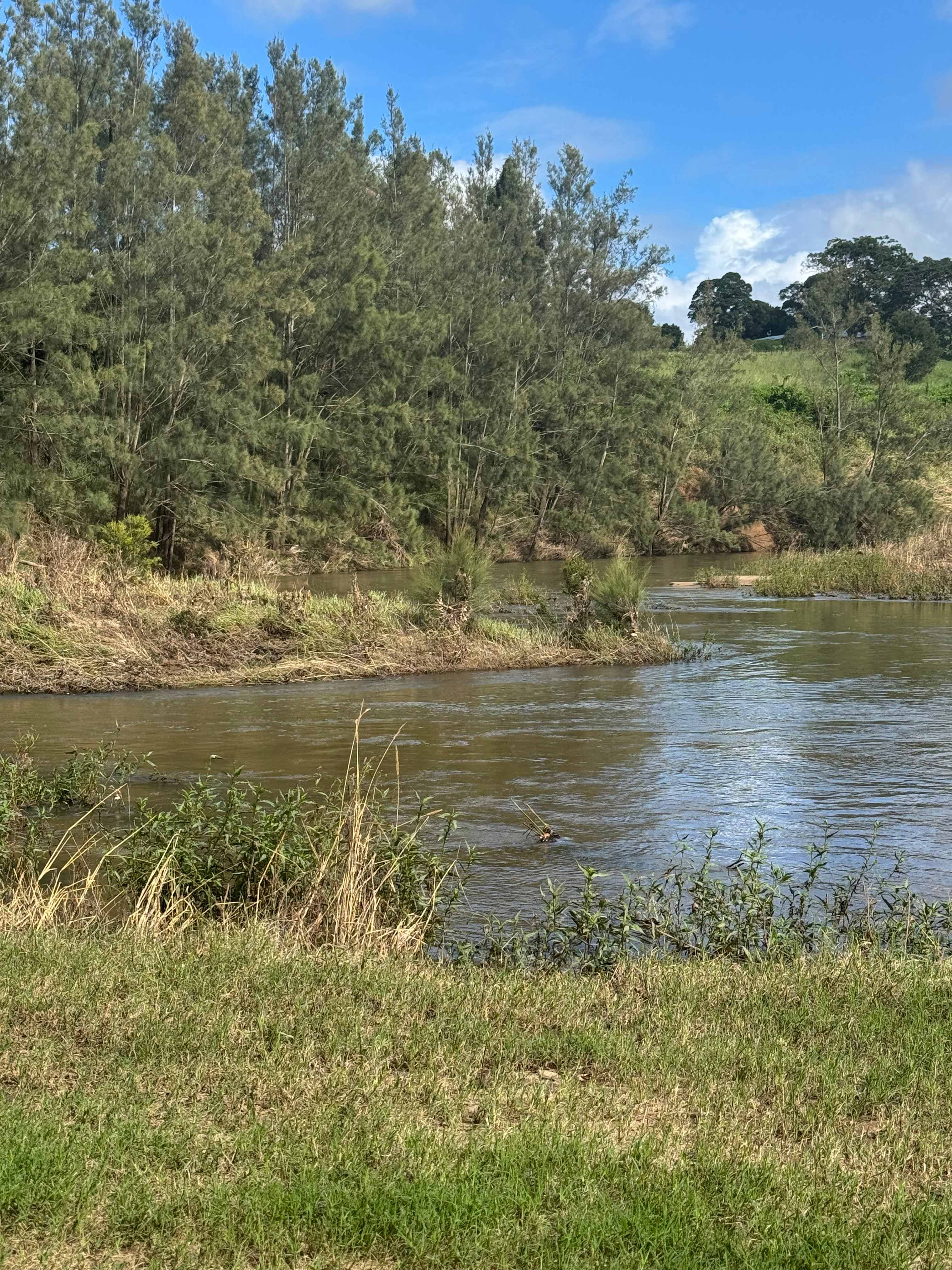 Hidden Pocket on the Mary