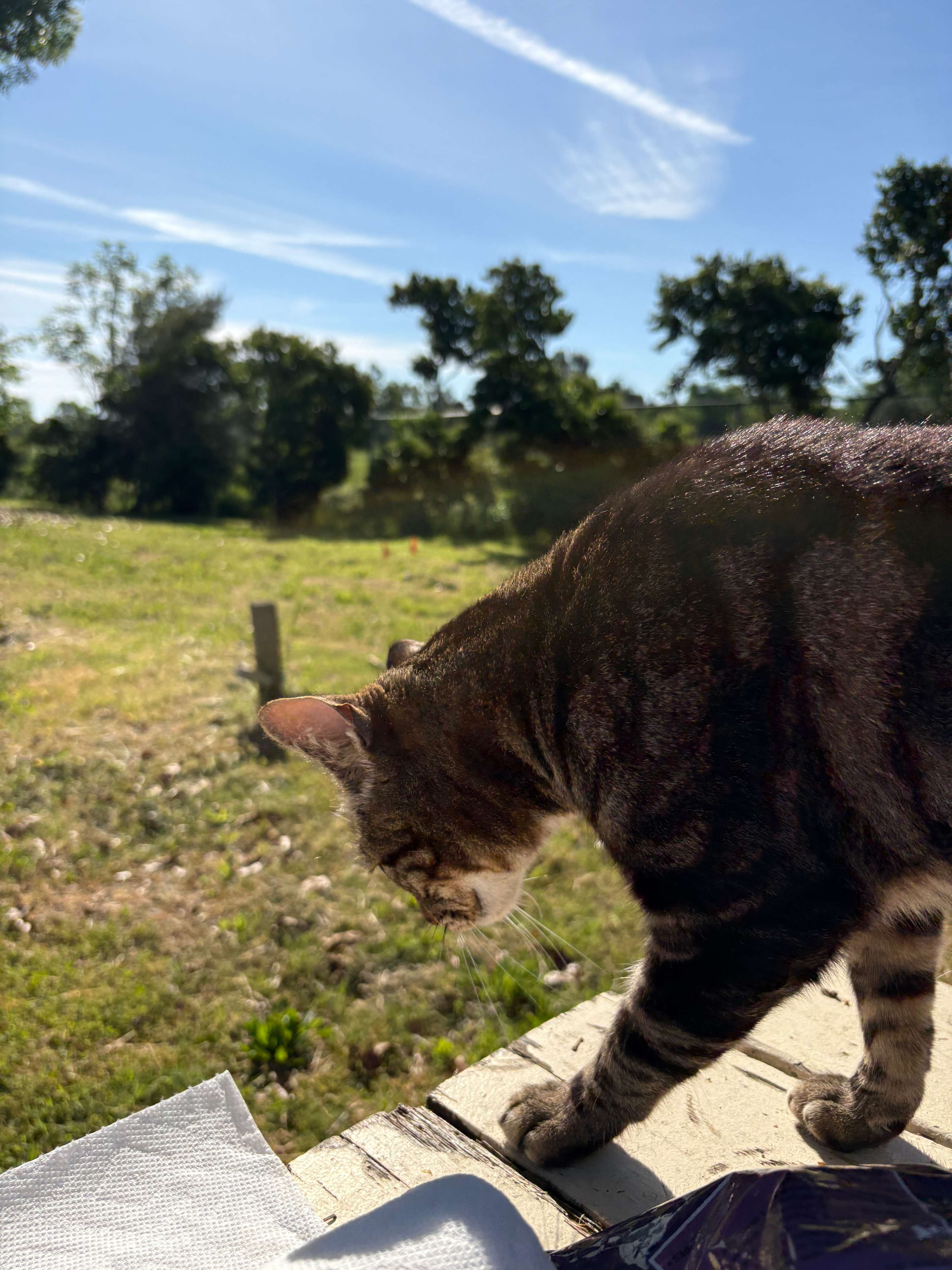 Feather River Campground & Lodging