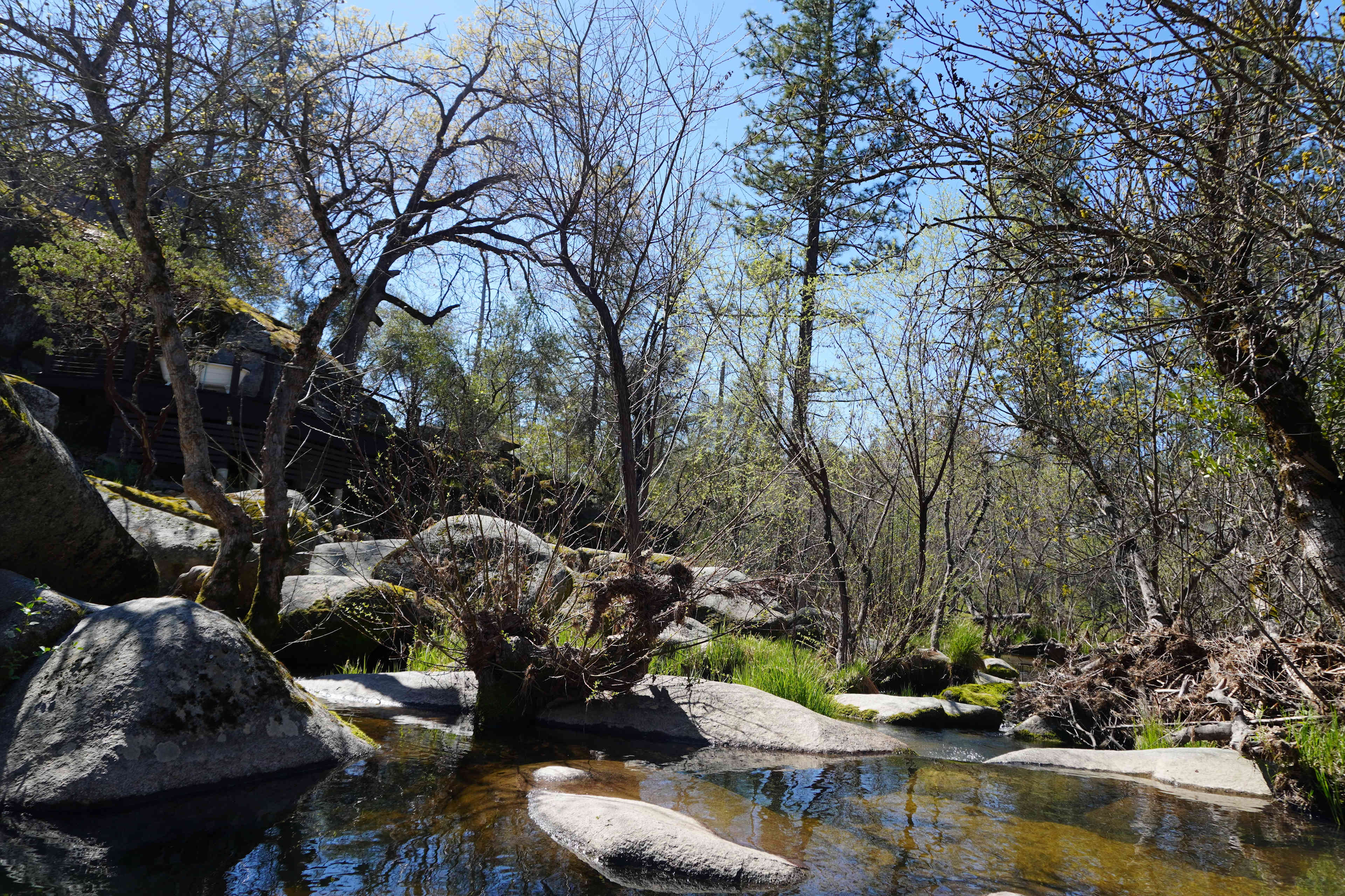 Swimming + Stargazing Near Yosemite