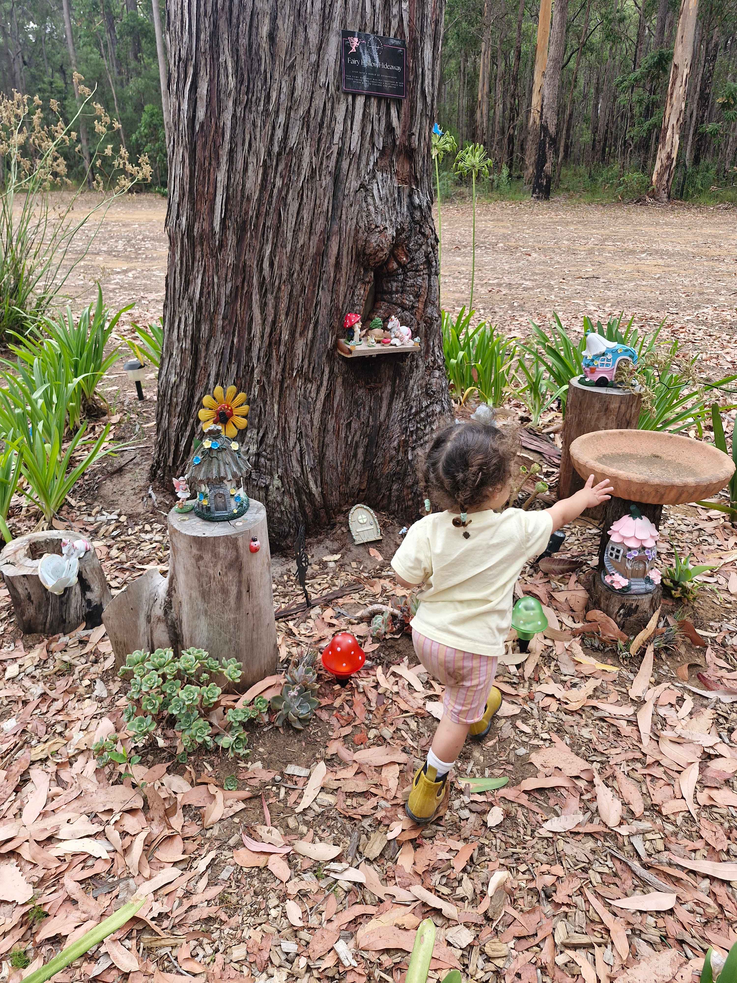 Highway Hideaway - Manjimup