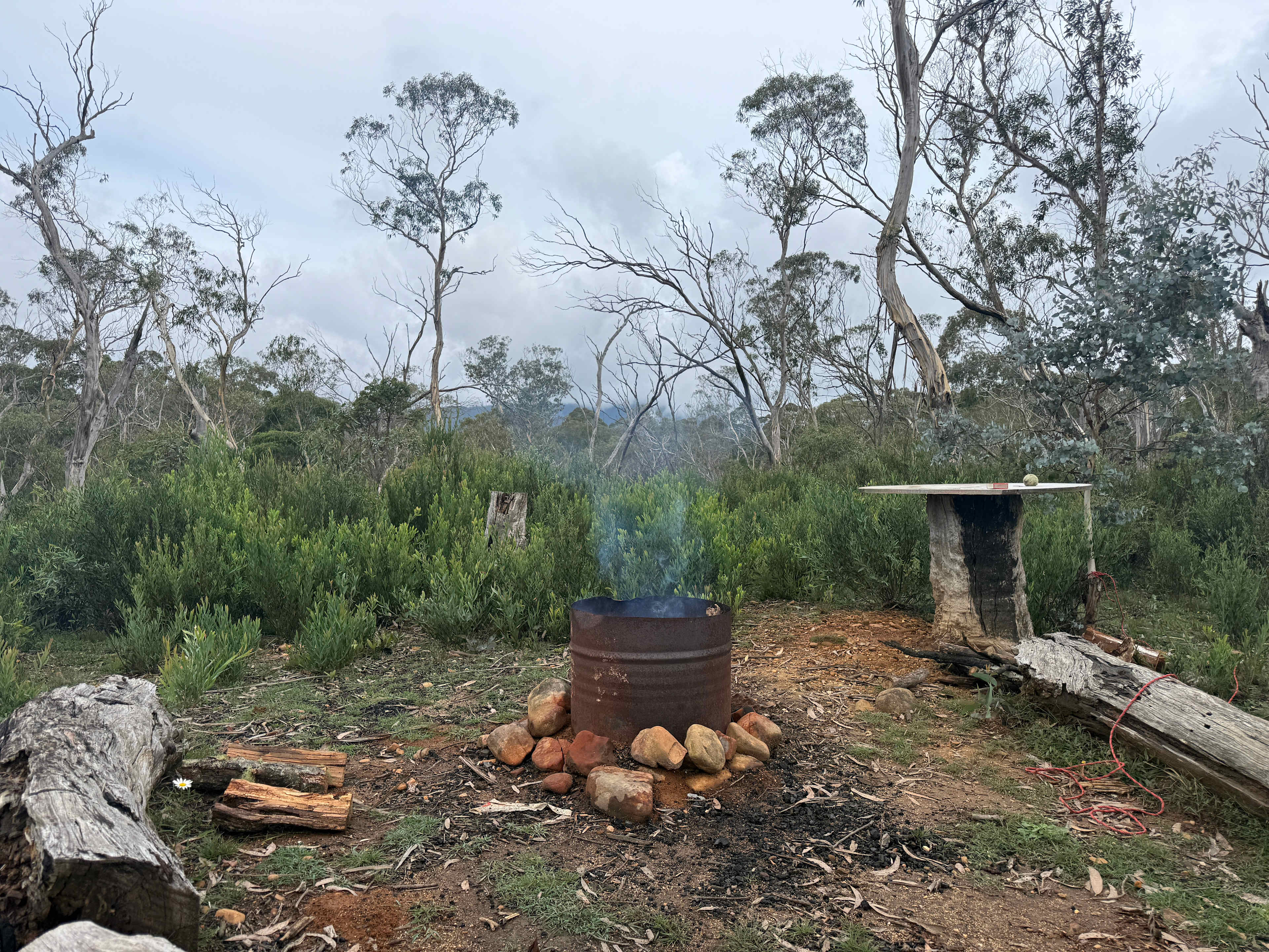 Scribbly Gum secluded bush camping