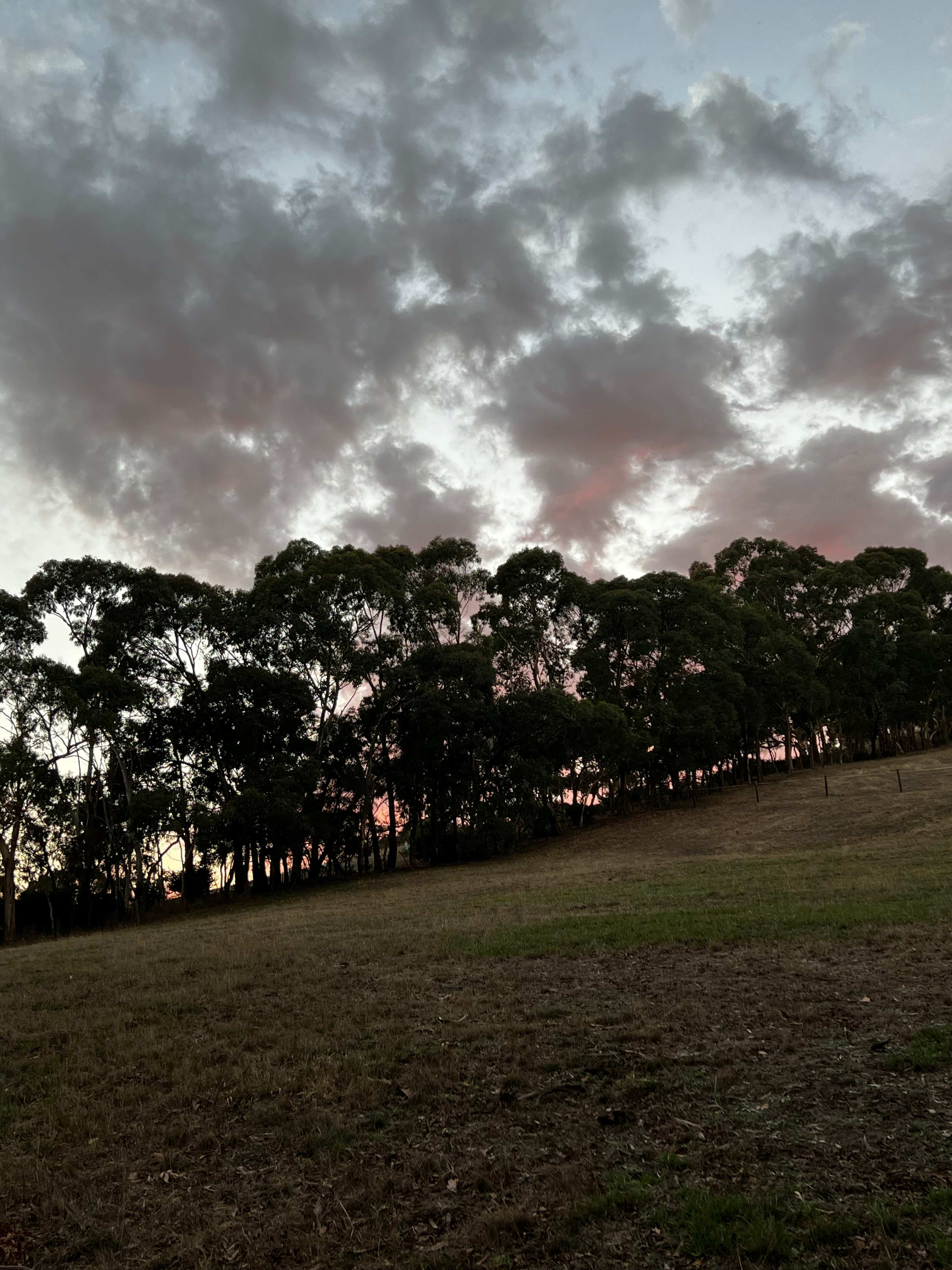 Noorla Farm (Happy Camping Ground)