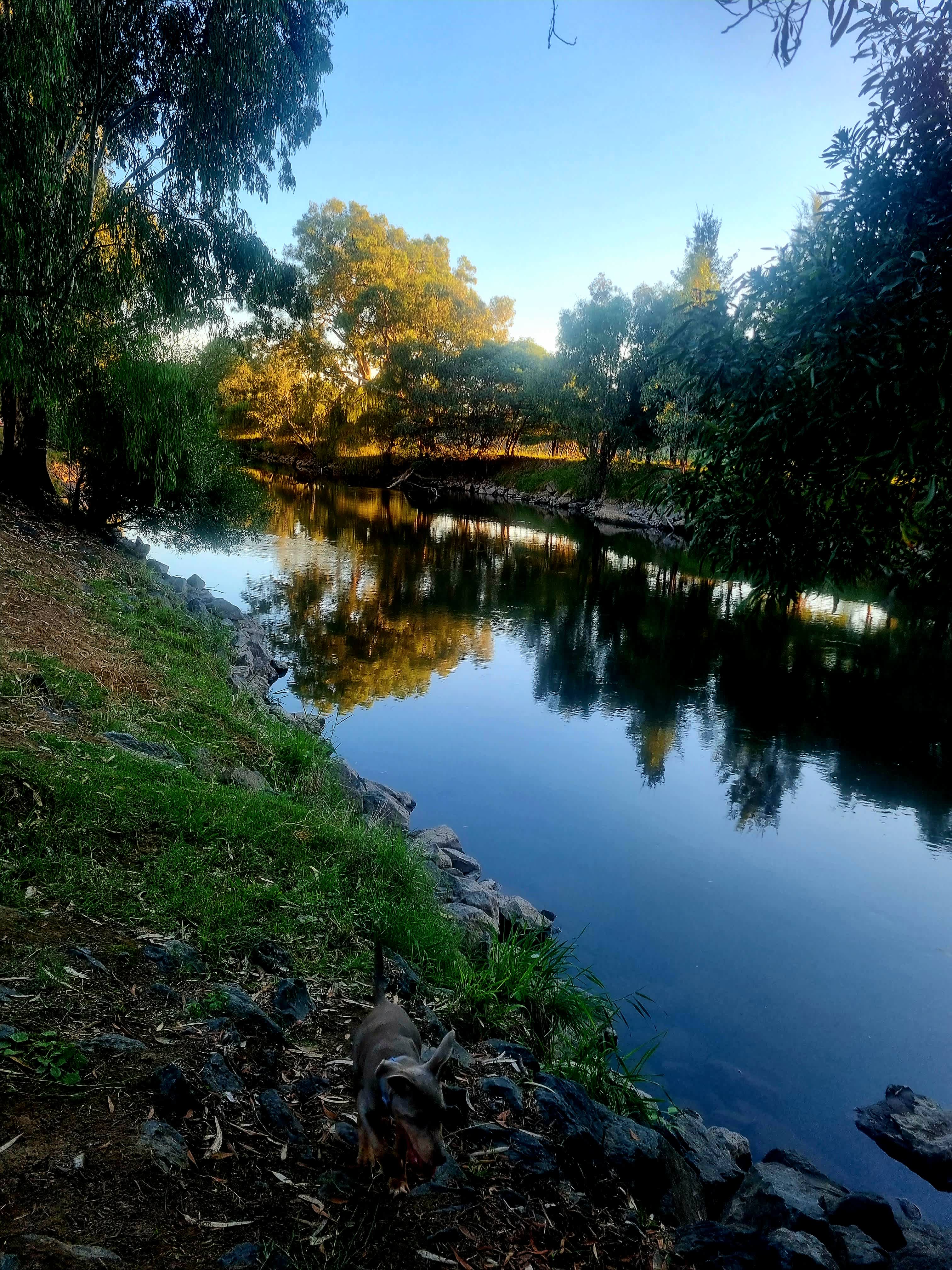 Bahwidgee on Tumut River