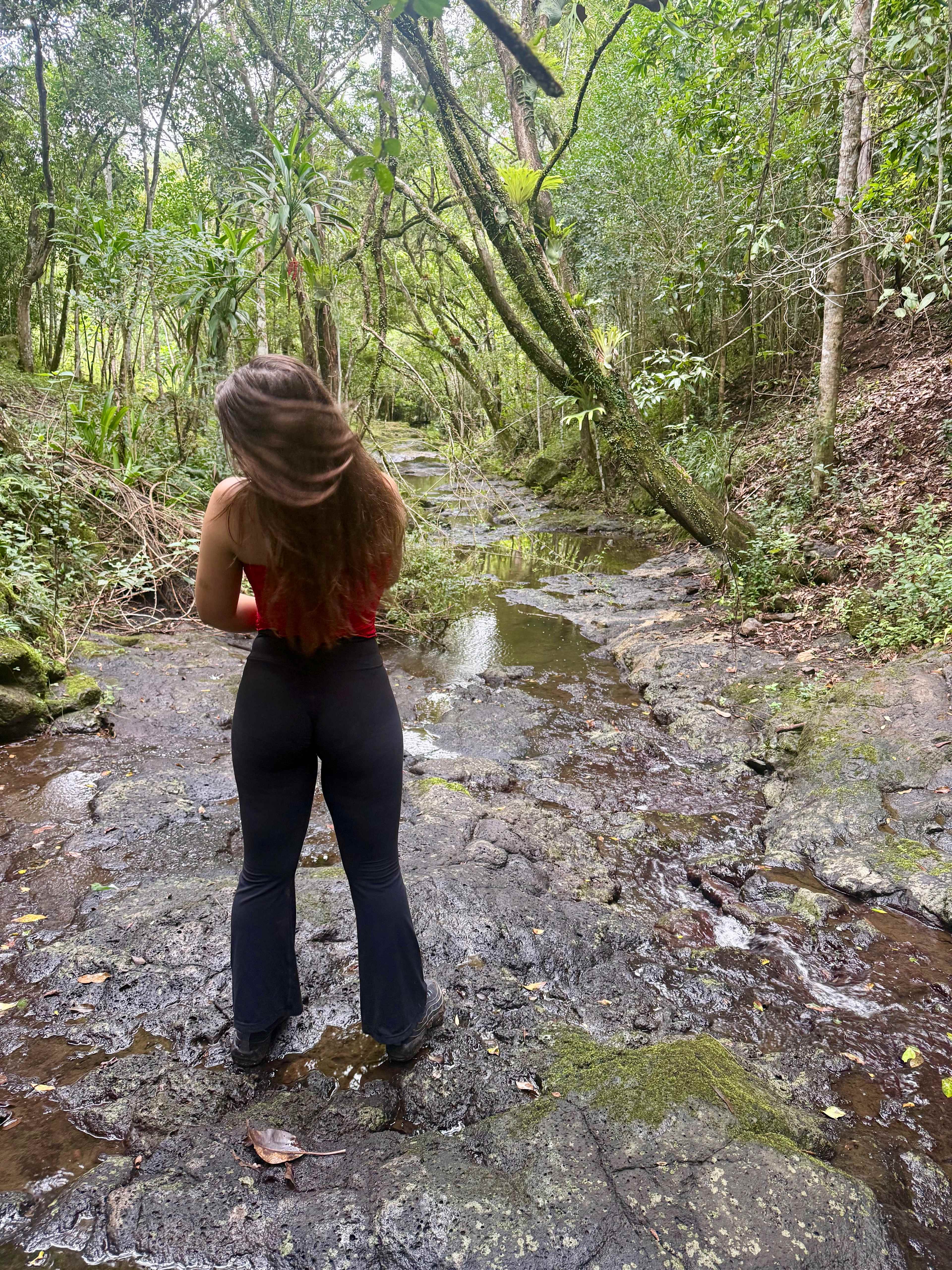 The Jewel Of Caniaba