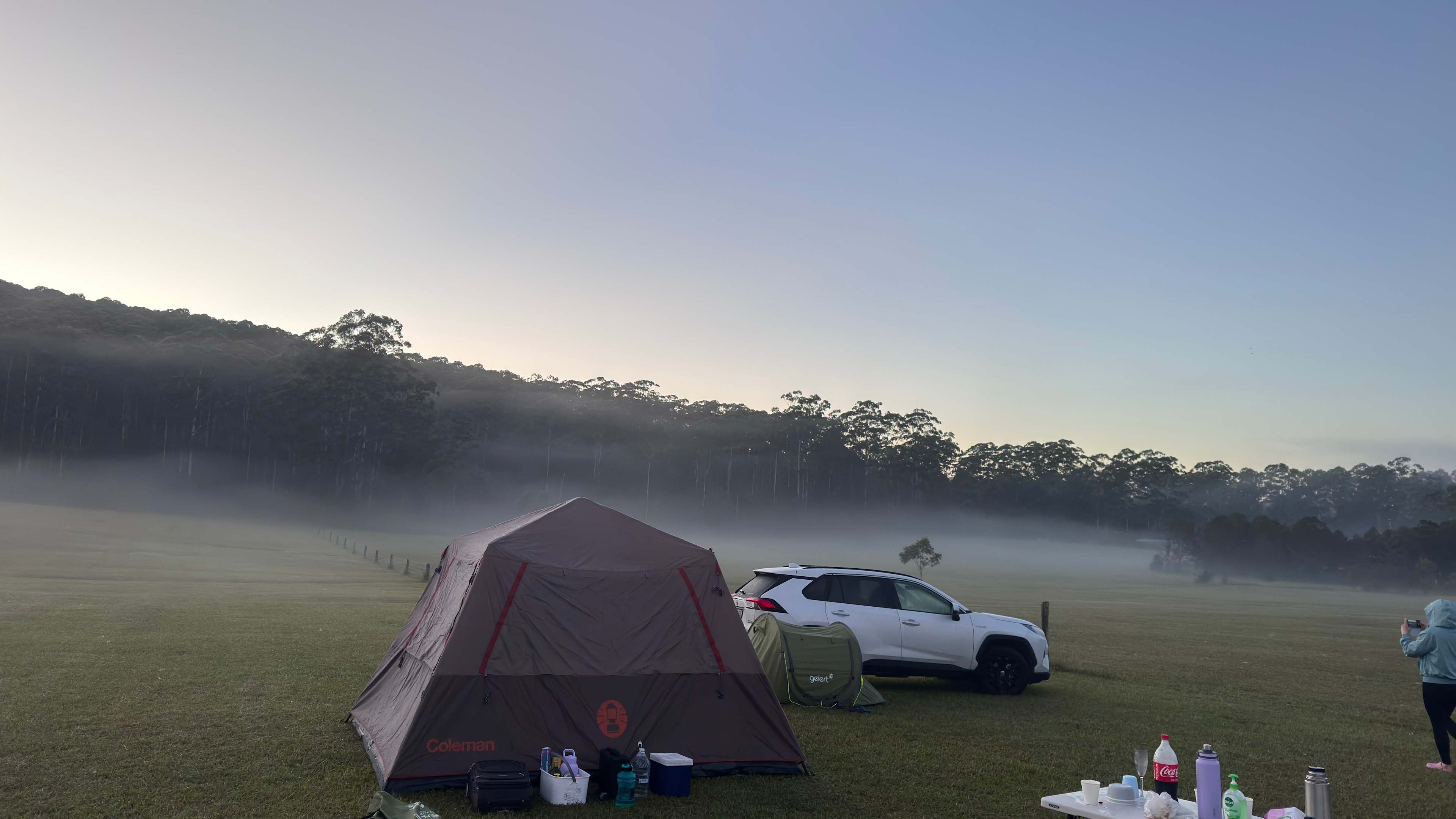 Spirit of the Forest