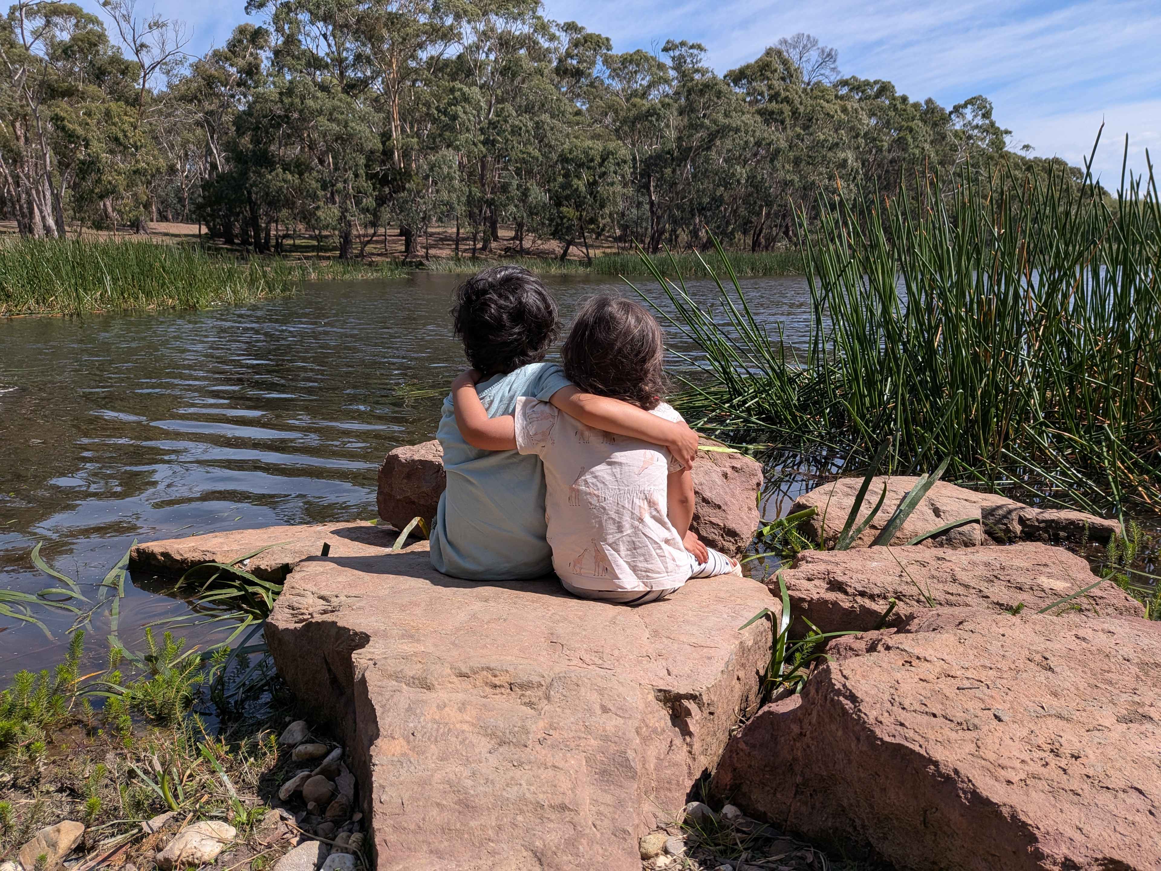 Lancefield Lake's A WETLANDS WONDER