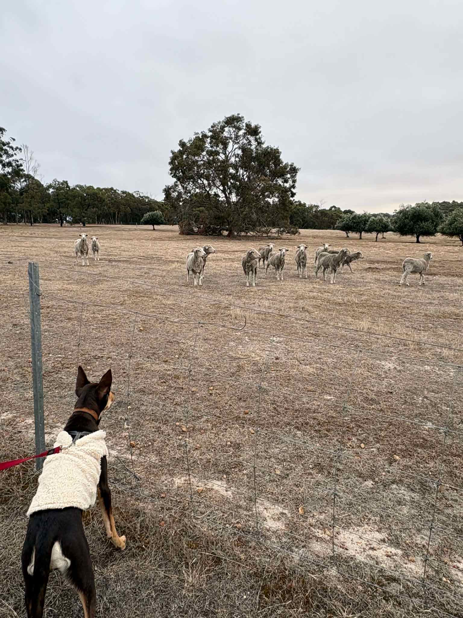 Mondurup Escape - Kendenup