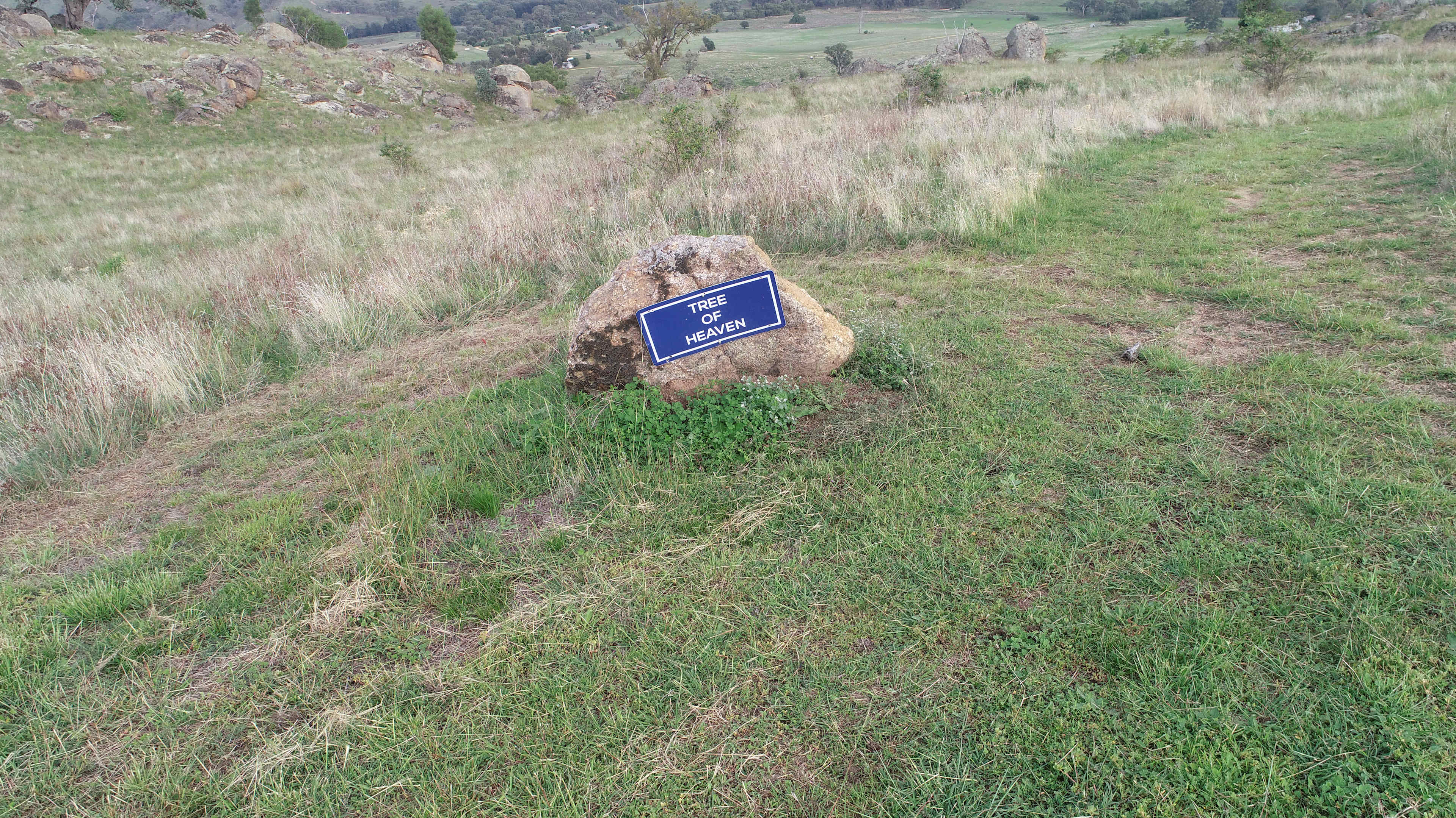 REVELSTONE MOUNTAIN CAMPS