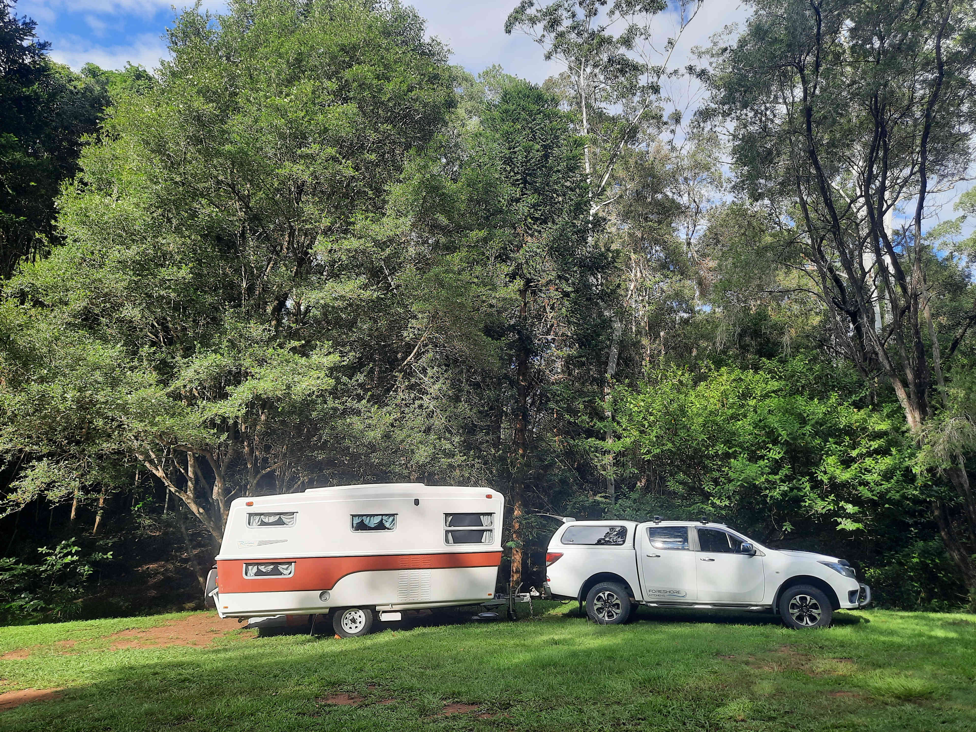 Bunya Grove