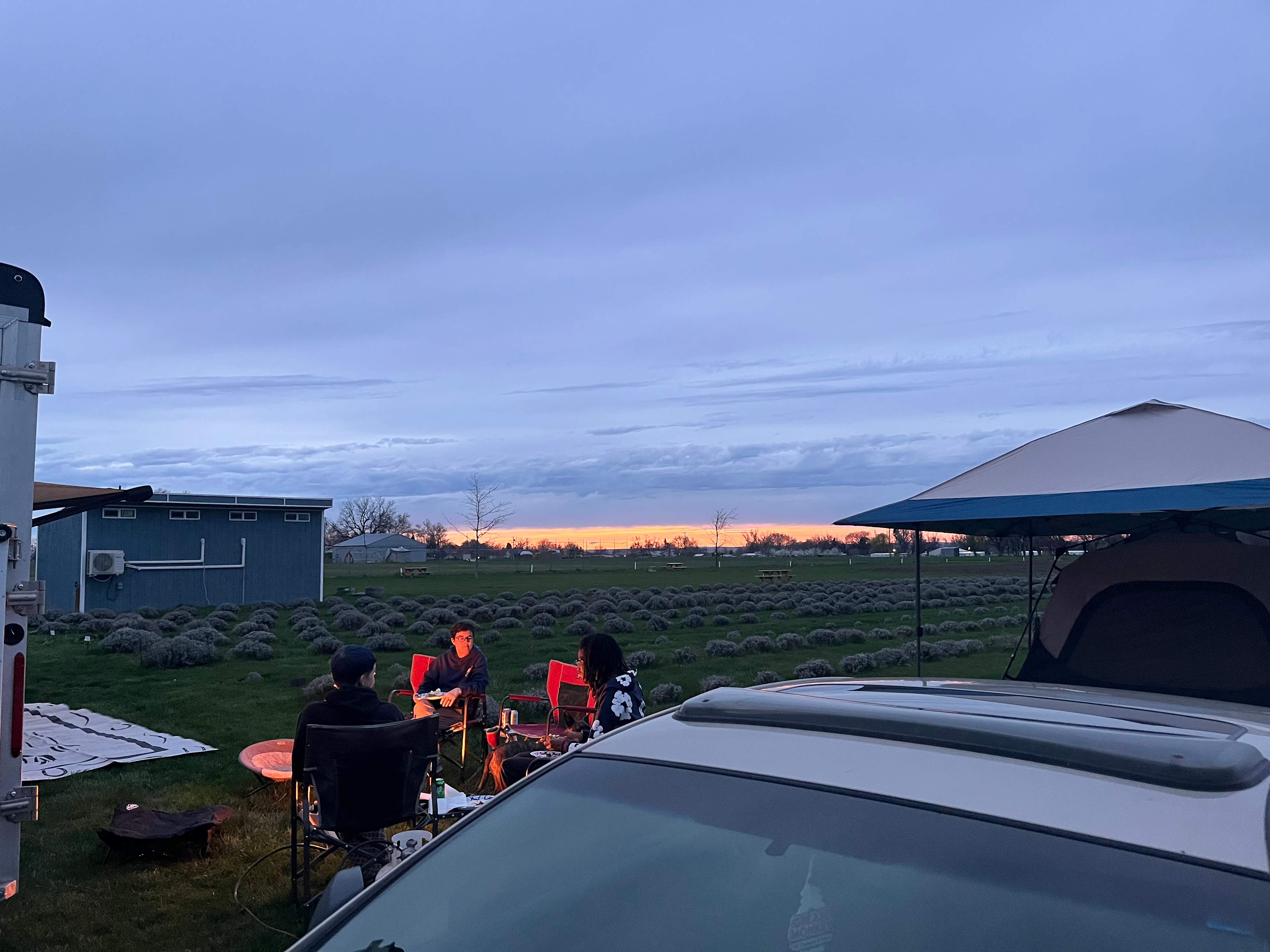 Relaxing, Peaceful Lavender Farm