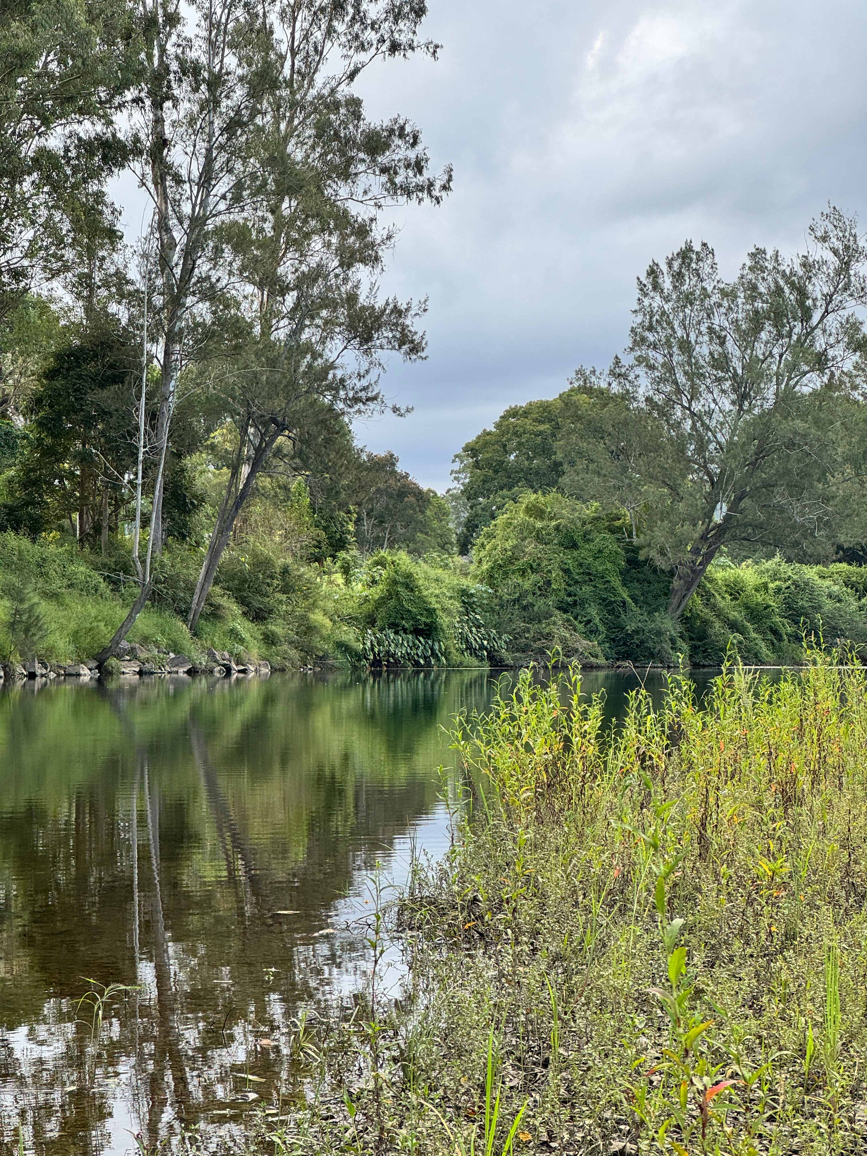 Bellinger River Camping