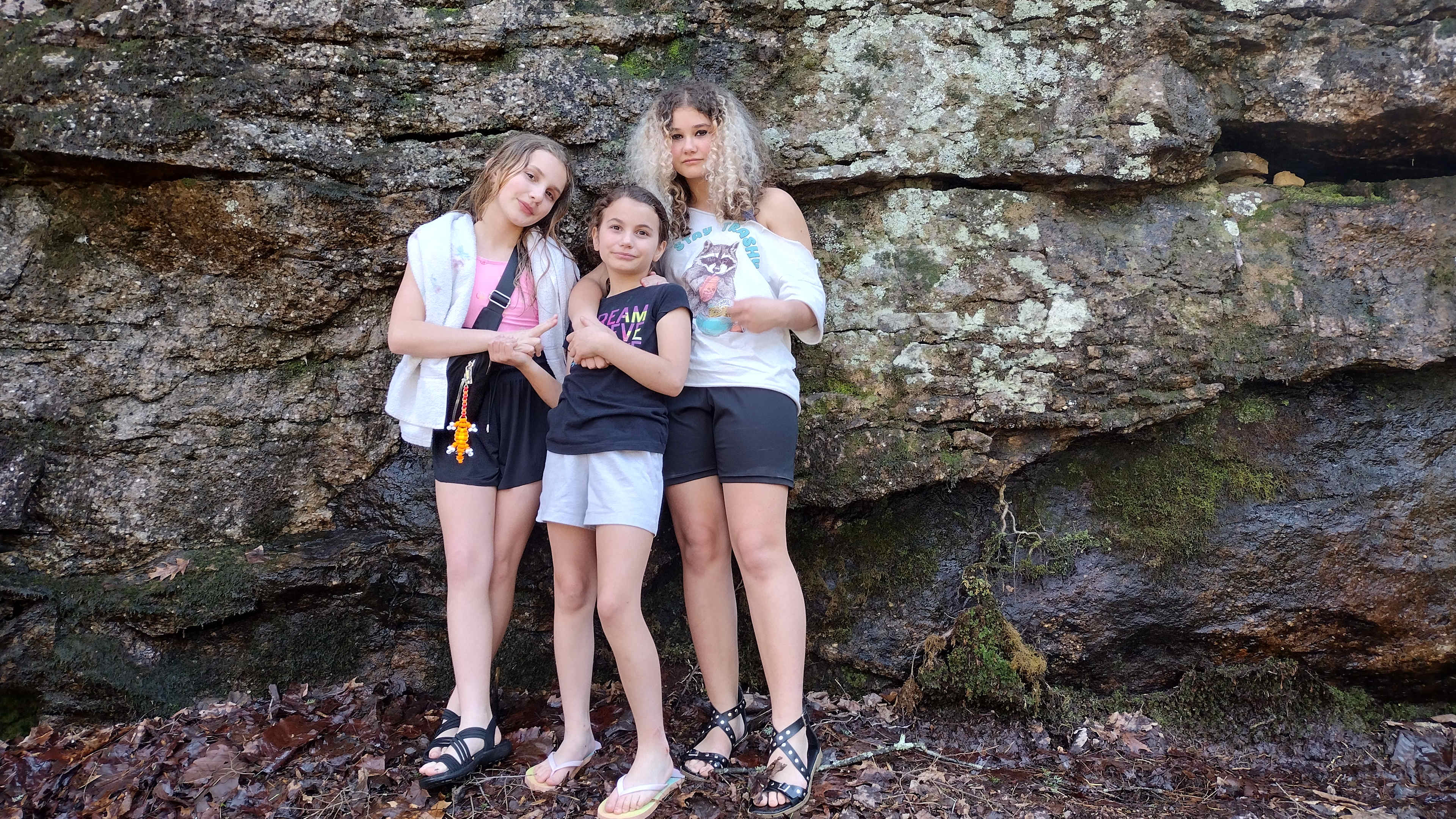 The Falls at Sewanee Creek